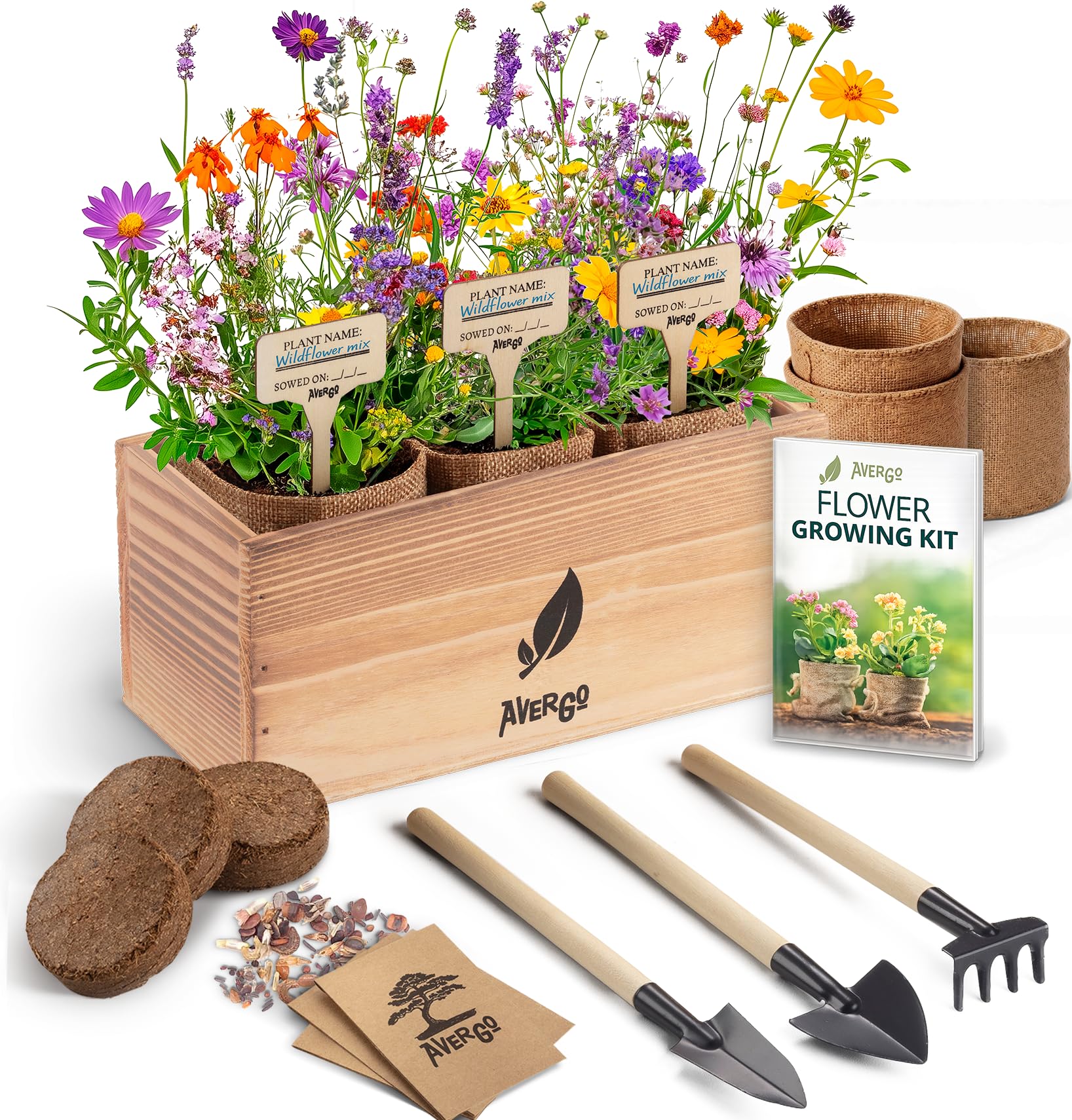Amazon.com : AVERGO Wildflower Seed Mix Growing Kit - Includes
