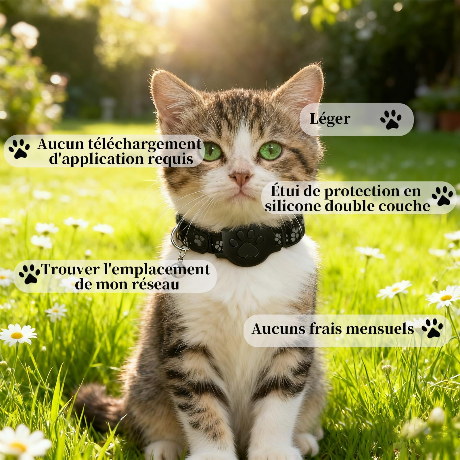 ZVD Collier GPS Chat, 2026 Nouveau Traceur GPS Chat Tracker, sans Carte SIM, sans Abonnement Mensuel, Localisation Temps Réel,Compatible iOS Android,Imperméable et Durable (Noir)