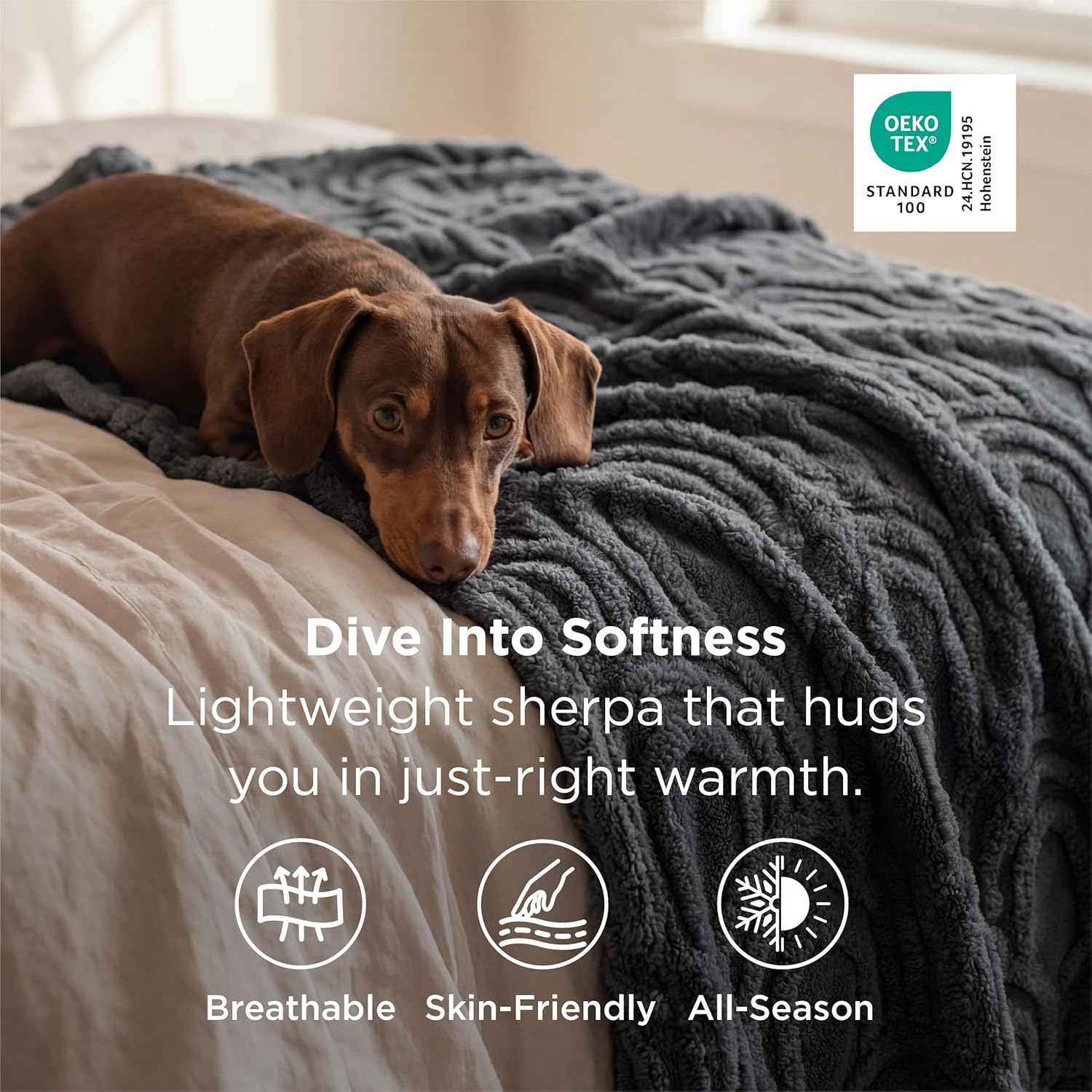 Bedsure GentleSoft Grey Throw Blanket for Women - Super Soft & Cozy, Fleece Blankets for Girls, Ideal for Couch & Bed, 50x70 Inches