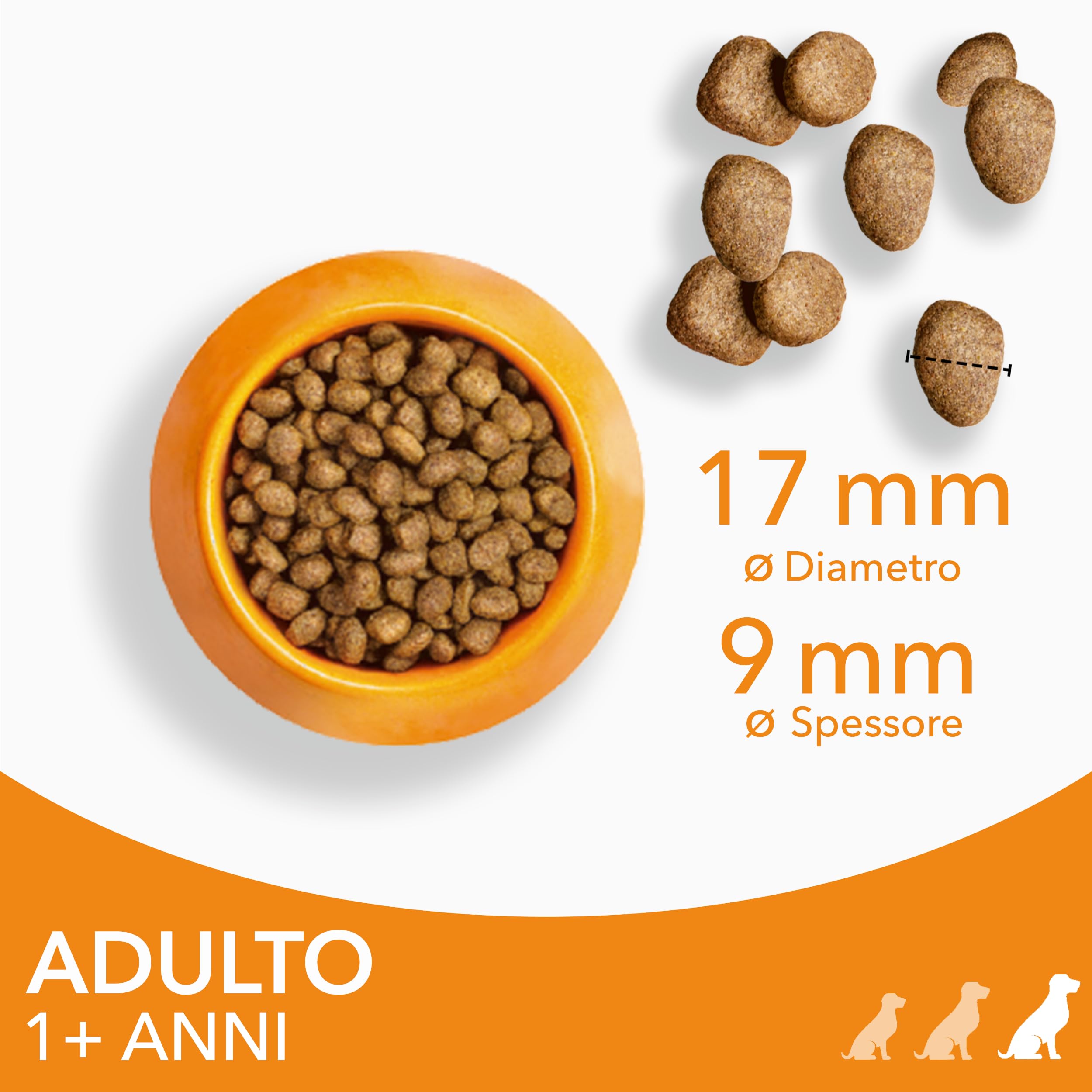 IAMS cibo secco per cani con pollo - Cibo secco per cani adulti a partire da 1 anno di età, adatto a cani di taglia grande, 12 kg