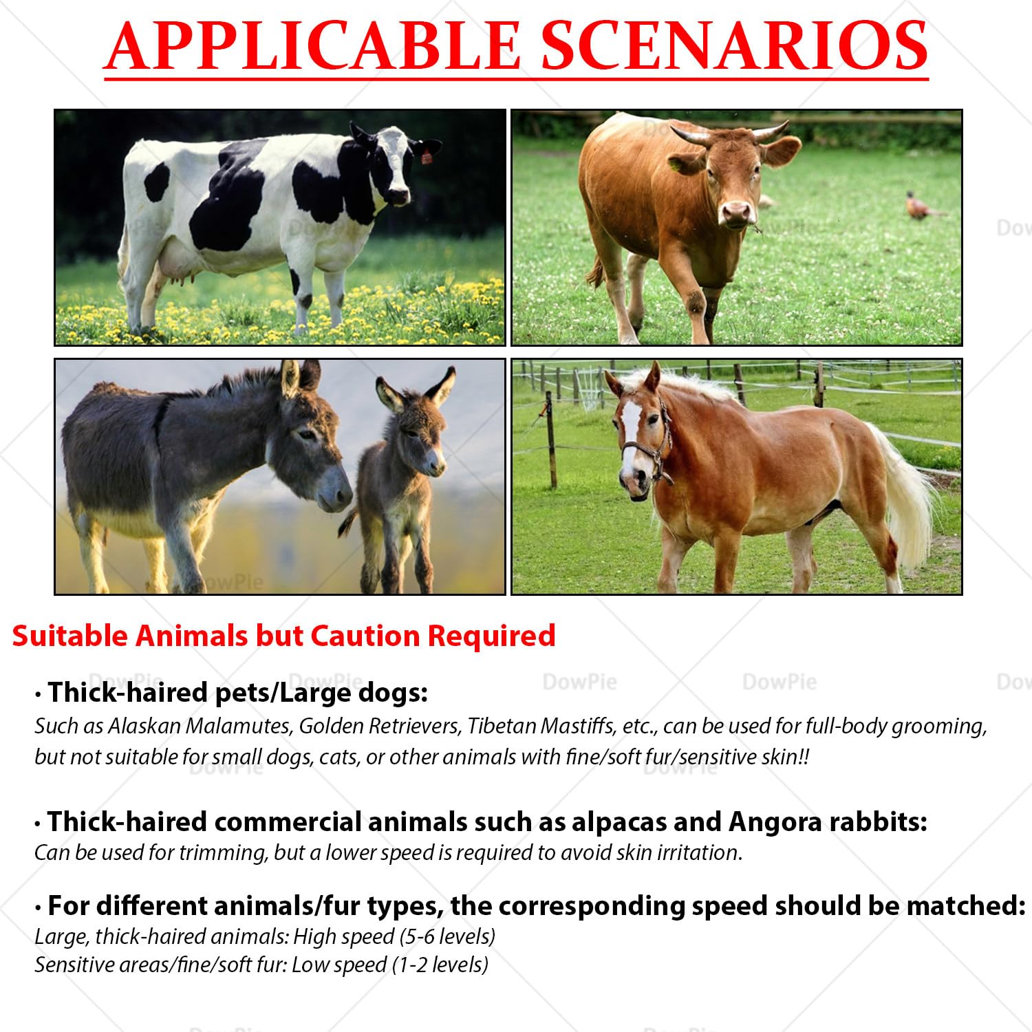 Cortapelos Profesionales para Animales de Pelo Grueso, 690 W, 6 velocidades Ajustables, para el Cuidado de Caballos, Ganado y Perros Grandes. Esquila y Aseo eficientes. 220V