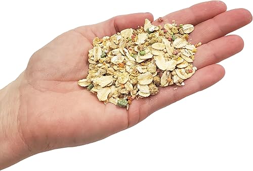 Miniatura 9 de Granja de hormigas vivas kit de repuesto para granja de hormigas