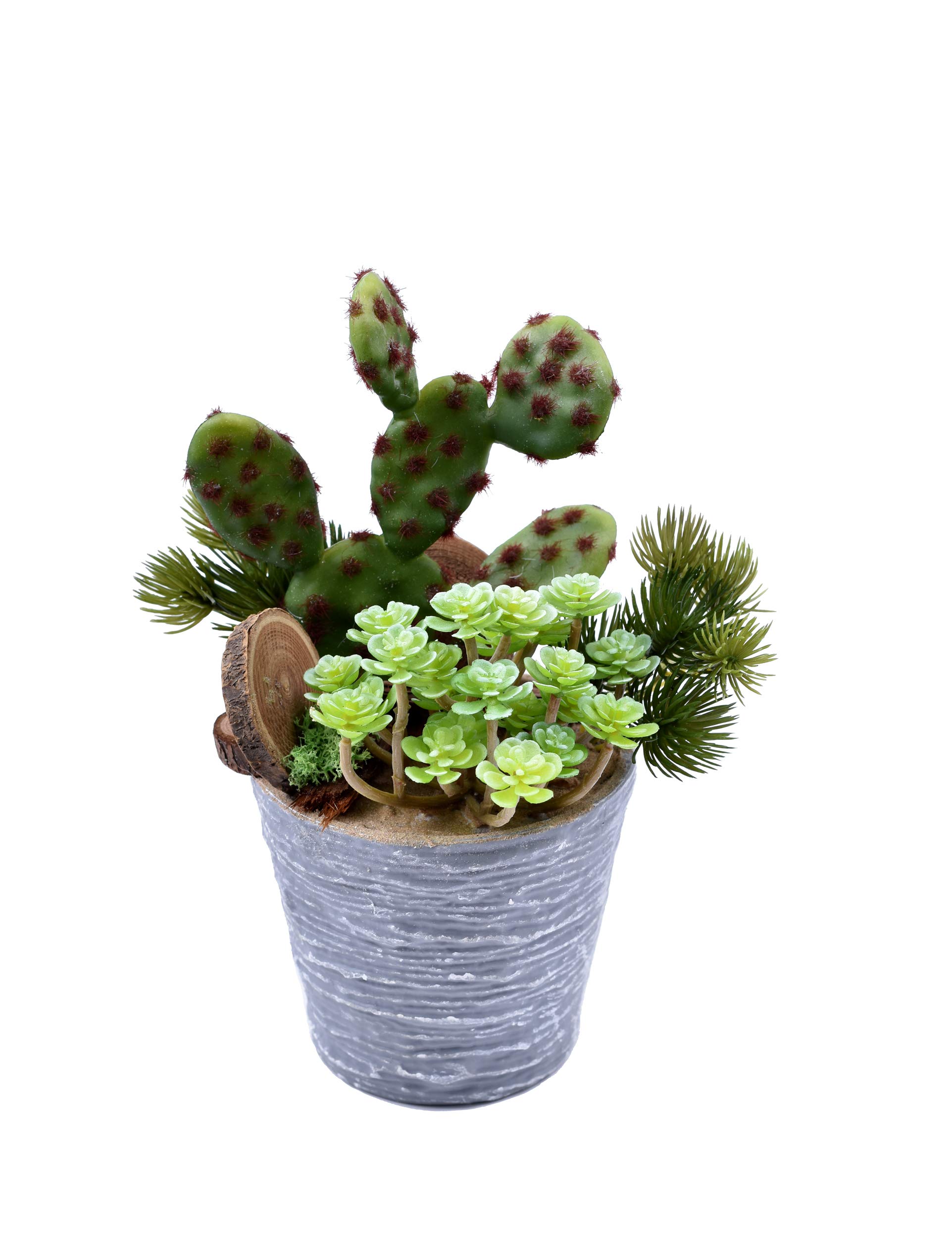 Artificial Succulents Plant With Cactu Plants Arrangements Flowers In Plastic Pot For Home Office Table Decoration