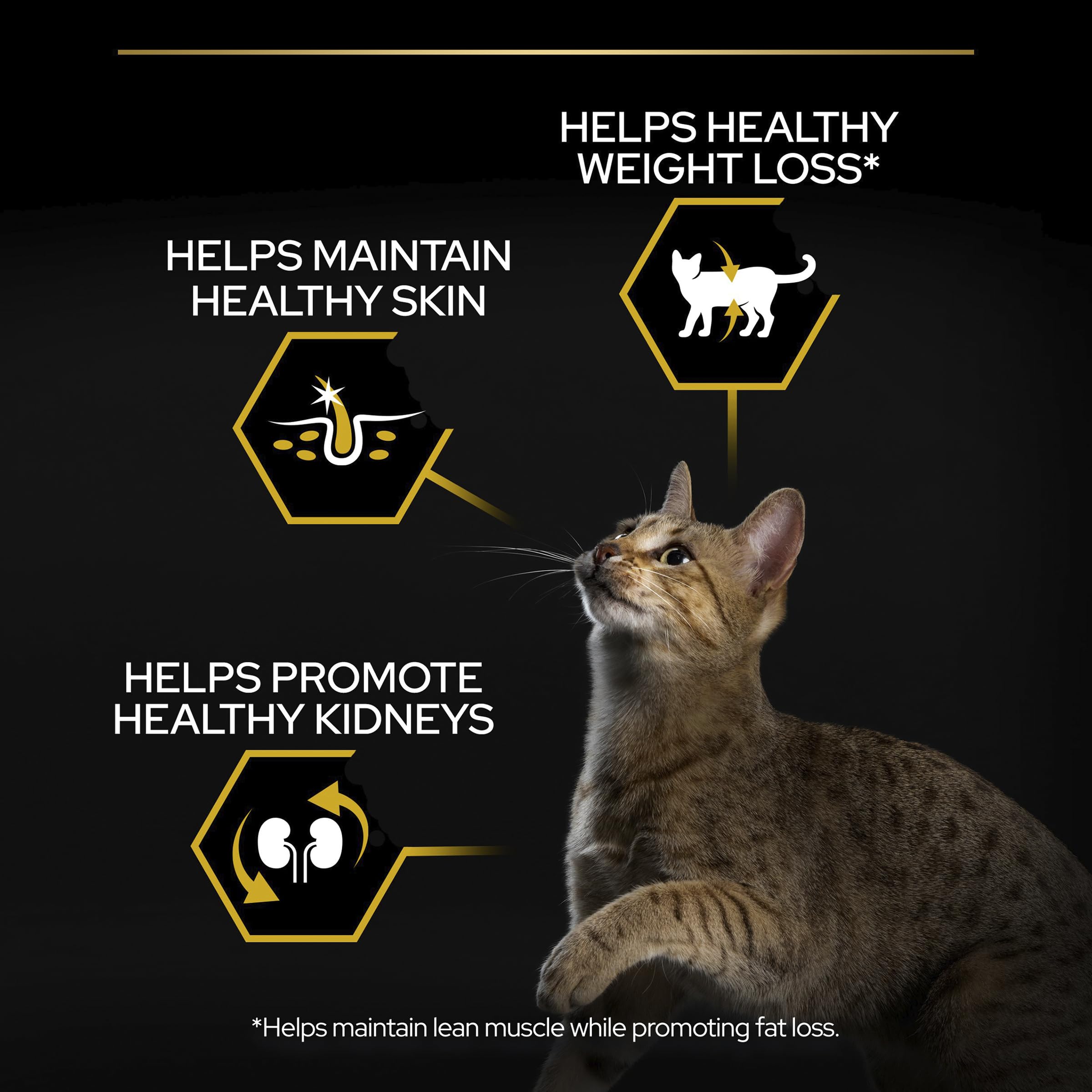 PURINA PRO PLAN | Light | Chat Adulte en surpoids et/ou ayant tendance à l'embonpoint | Croquettes faibles en matières grasses pour aider à la perte de poids | A la Dinde | Sac | Lot de 1 x 3KG