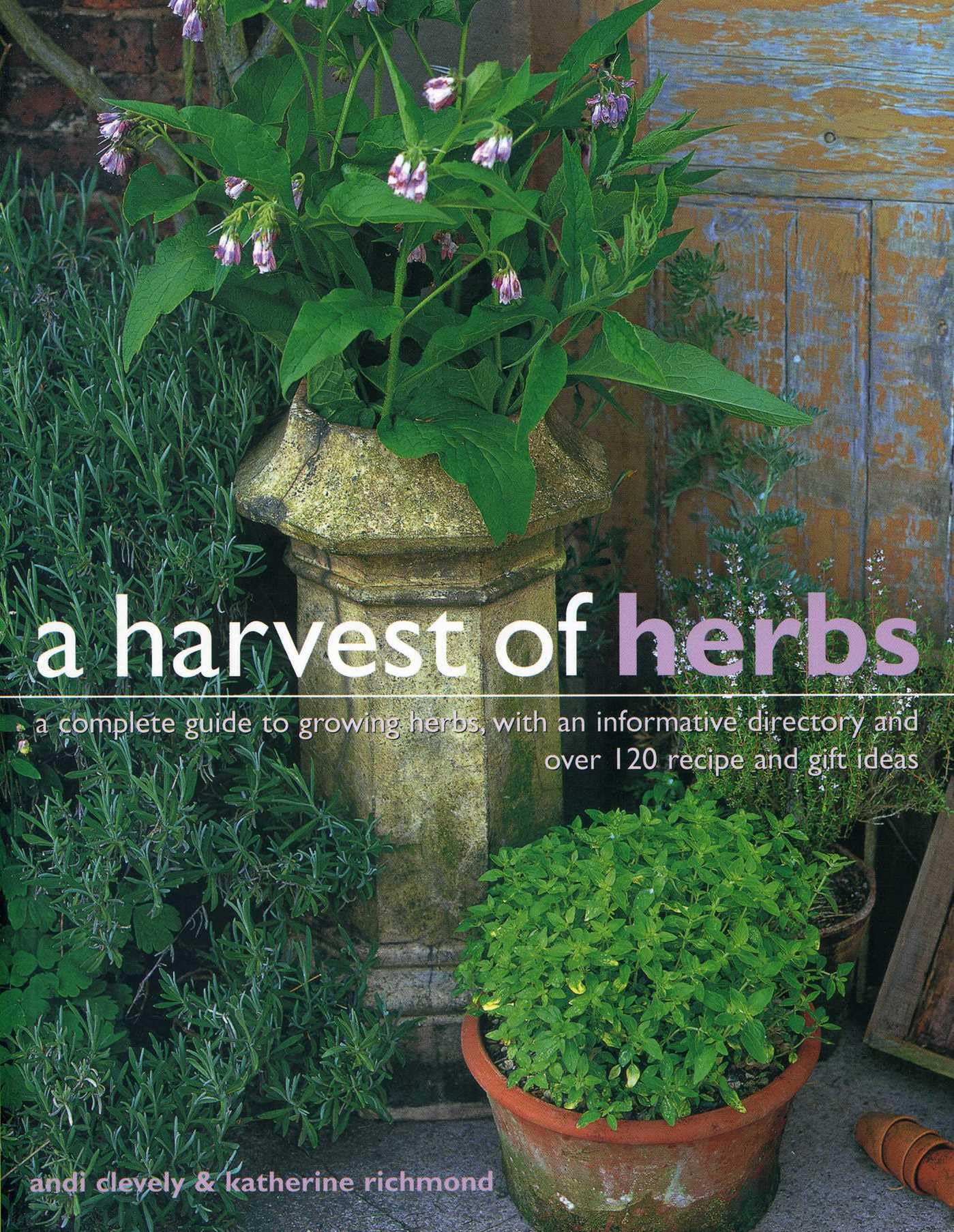 Harvest of Herbs by Clevely Andi (Paperback Book)