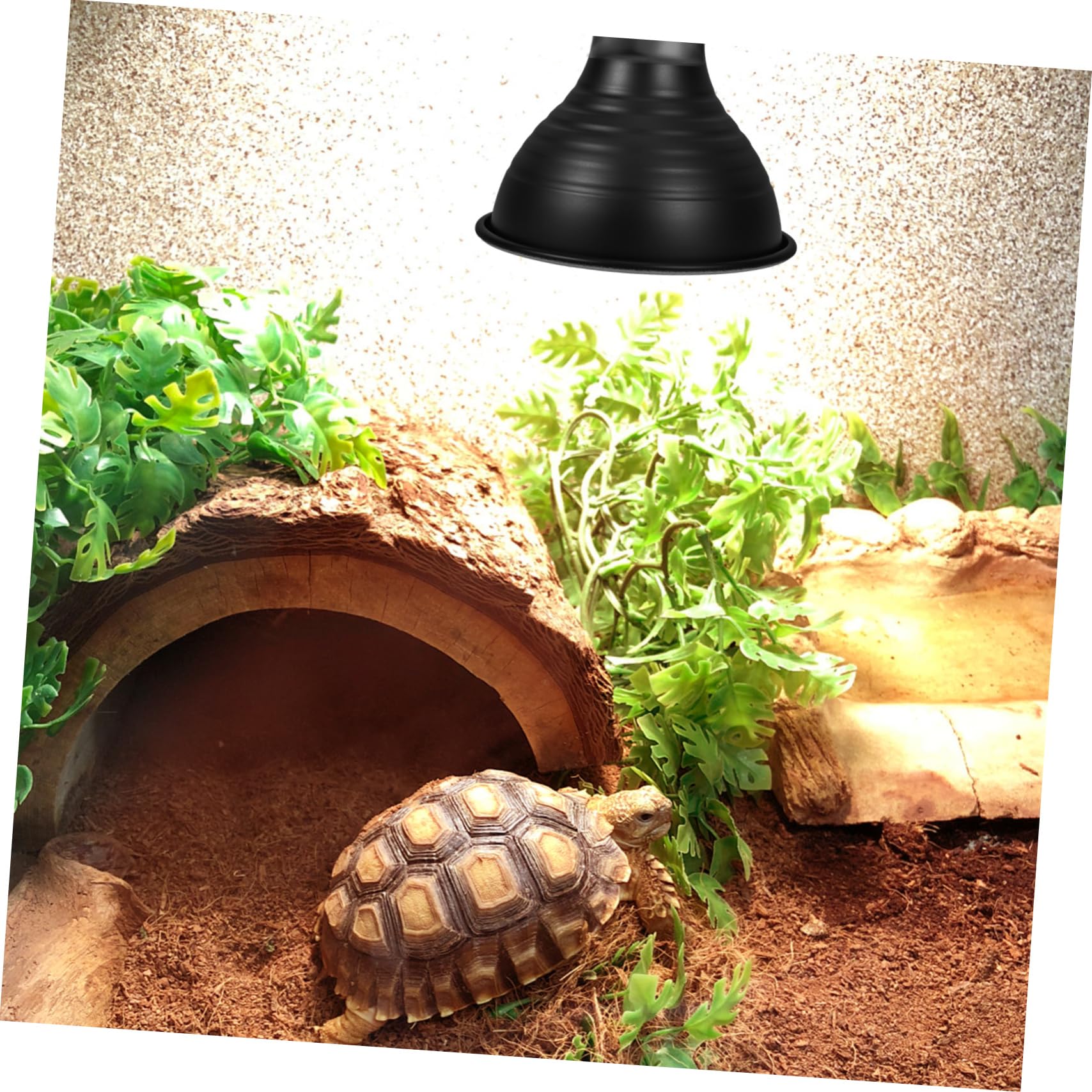 PRETYZOOM 5piezas Lámpara Reflectora para Reptiles Pantalla Aislante y Eficiencia Energética Soporte Terrarios y Calefacción De Reptiles