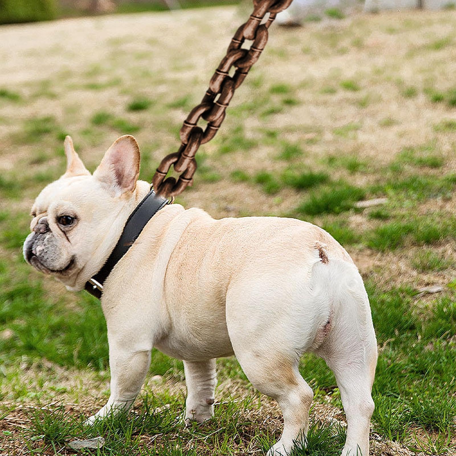 Guinzaglio per cani, catene per cani e cuccioli | 1,8 m/1,8 m per tutti i tipi di cani, animali domestici grandi, medi, piccoli, gatti, cani, passeggiate, jogging