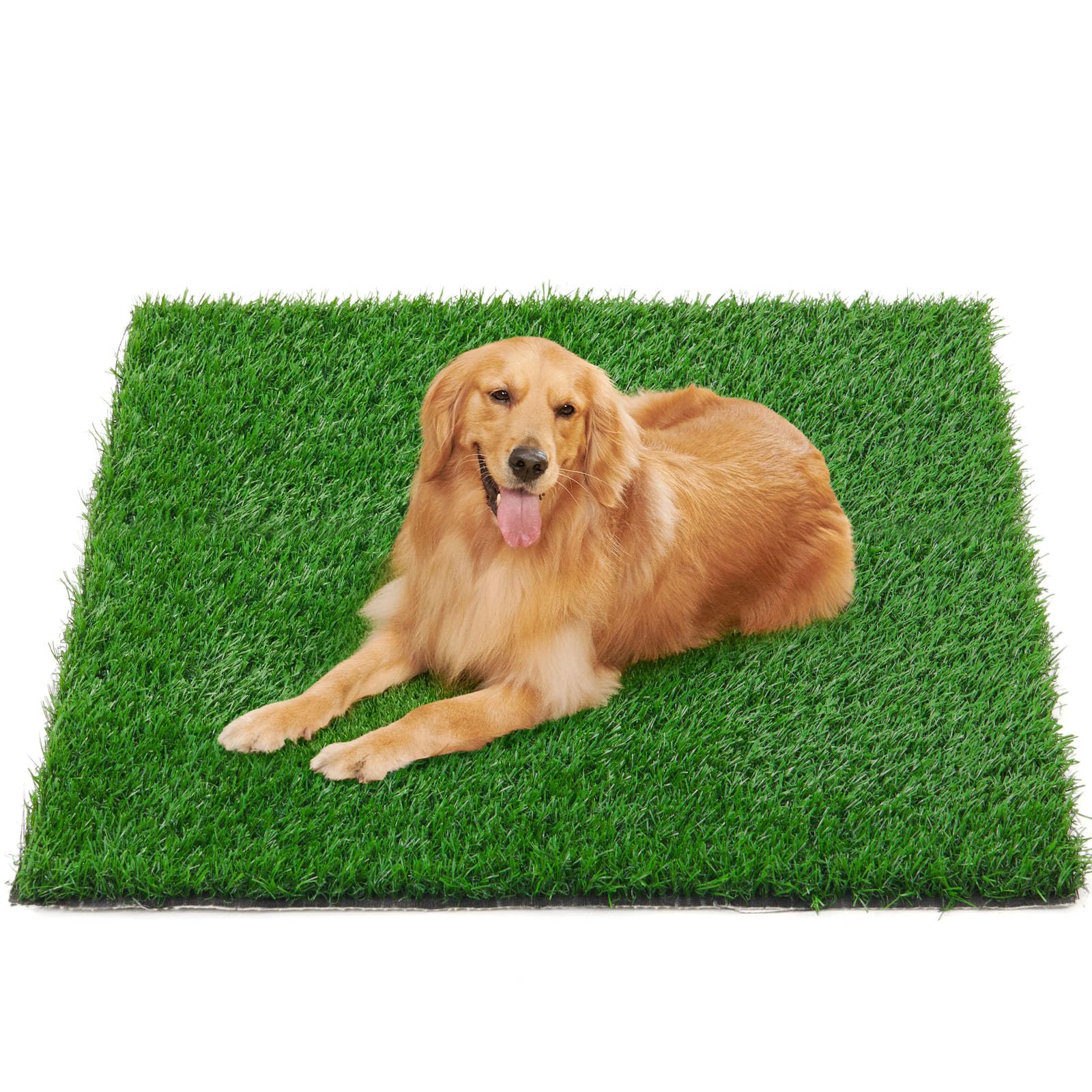 PICK FOR LIFE Dog Artificial Grass Mats for Replacement, Pet Pee Fake Grass for Potty Training, Perfect for Indoor Outdoor Use (100 x 150 cm) โ image 1
