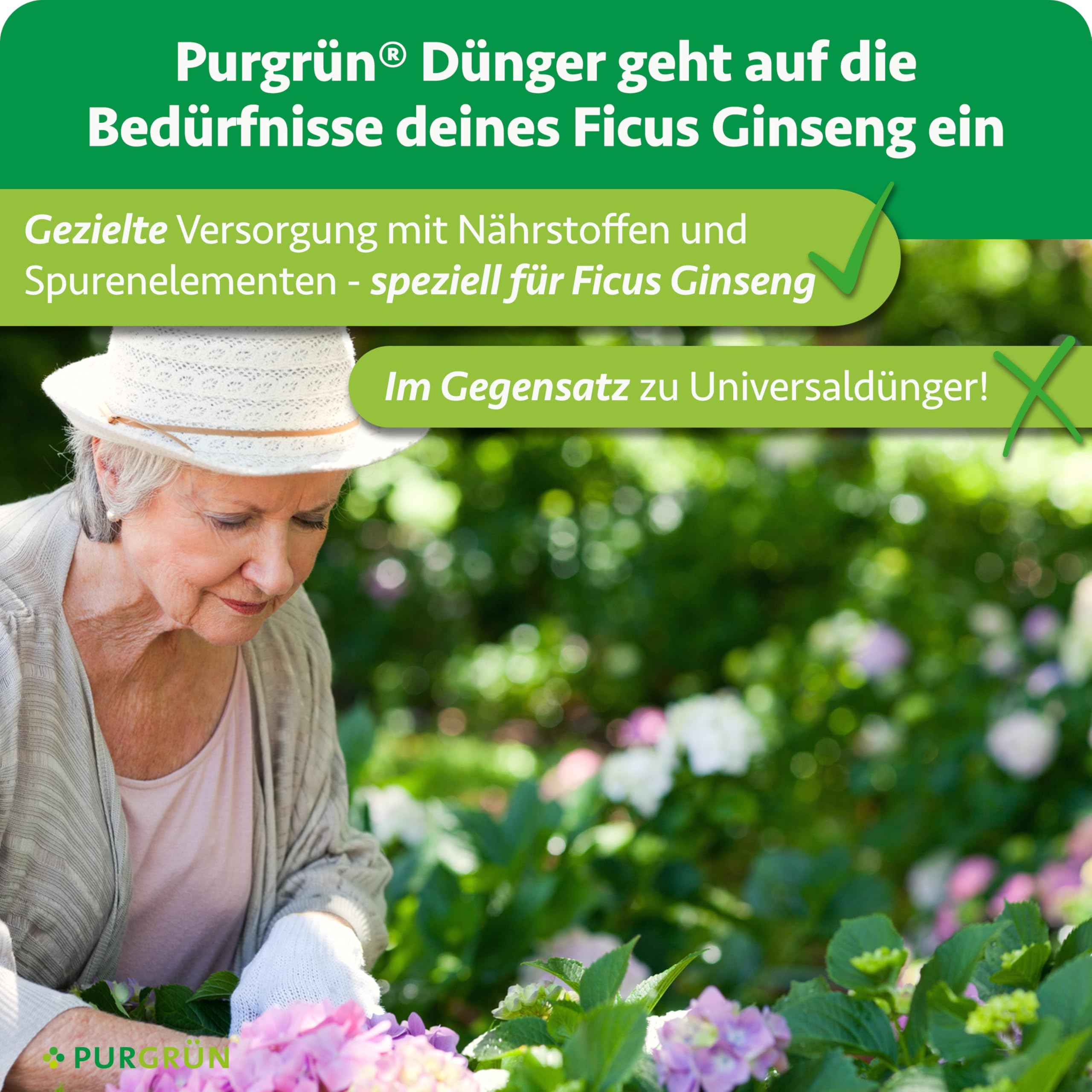 Ficus-Ginseng-Dünger 1 Liter – Fördert gesundes, dichtes Wachstum – Premium-Dünger mit Spurennährstoffen – Stärkt die Widerstandskraft mit Kalium – Konzentrat für 200 Liter Gießwasser