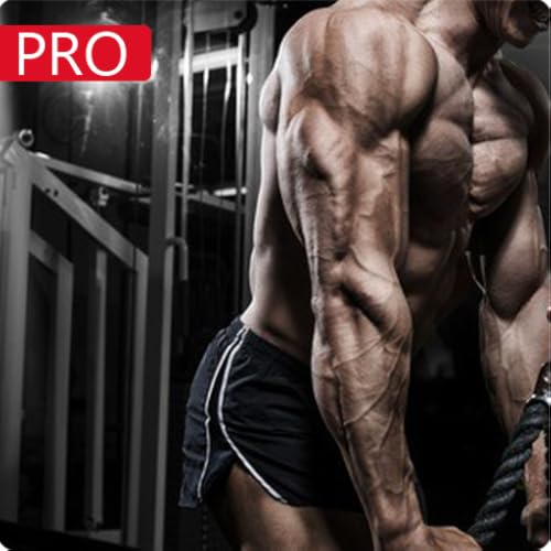 All triceps Exercies