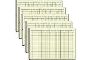 13 Columnar Pad, Accountants' Essential Tool