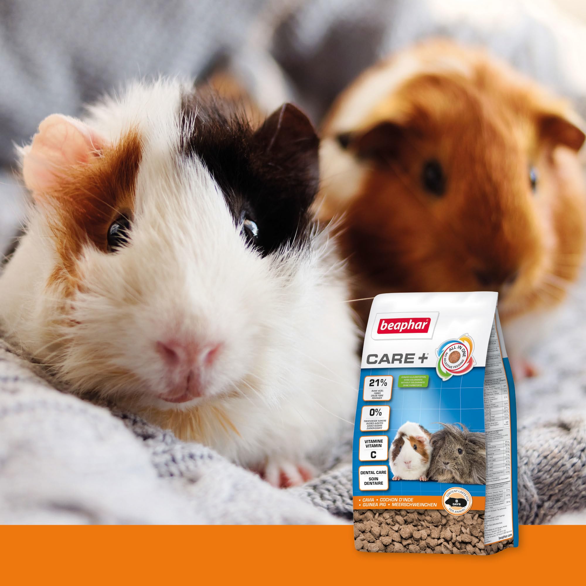 BEAPHAR – Care+ – Alimentation Super Premium extrudée pour Cochon d'Inde – Contient de la Vitamine C et 21% de Fibres – sans sucres ajoutés – 1.5kg,Lot de 1