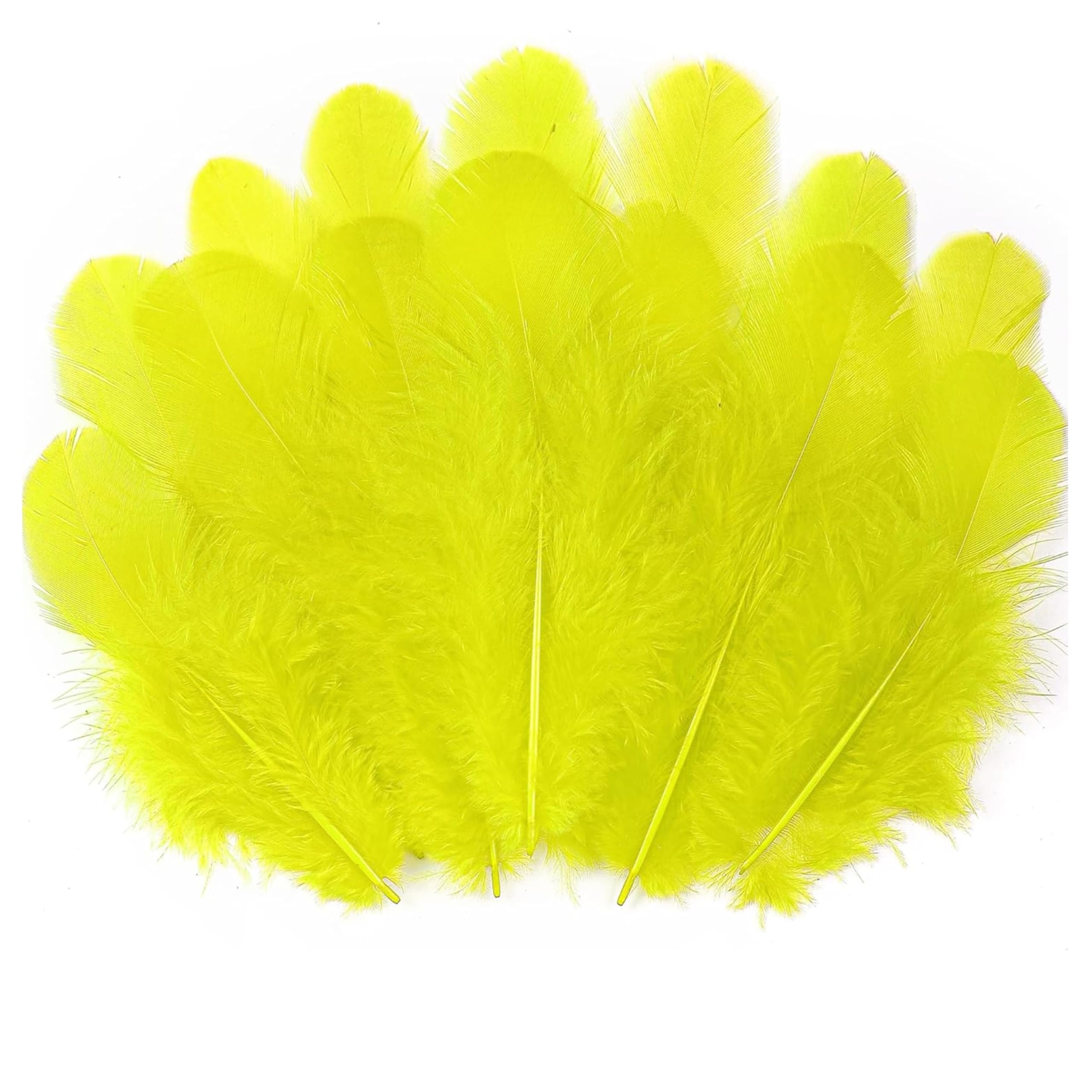Tdas 270+ Pcs Natural Dyed Feathers for Craft 3-5 inches Arts Fluffy Dream Catcher Making kit for Decoration Projects Earrings Colourful for Kids Handmade Wedding Home (Yellow)-image-42