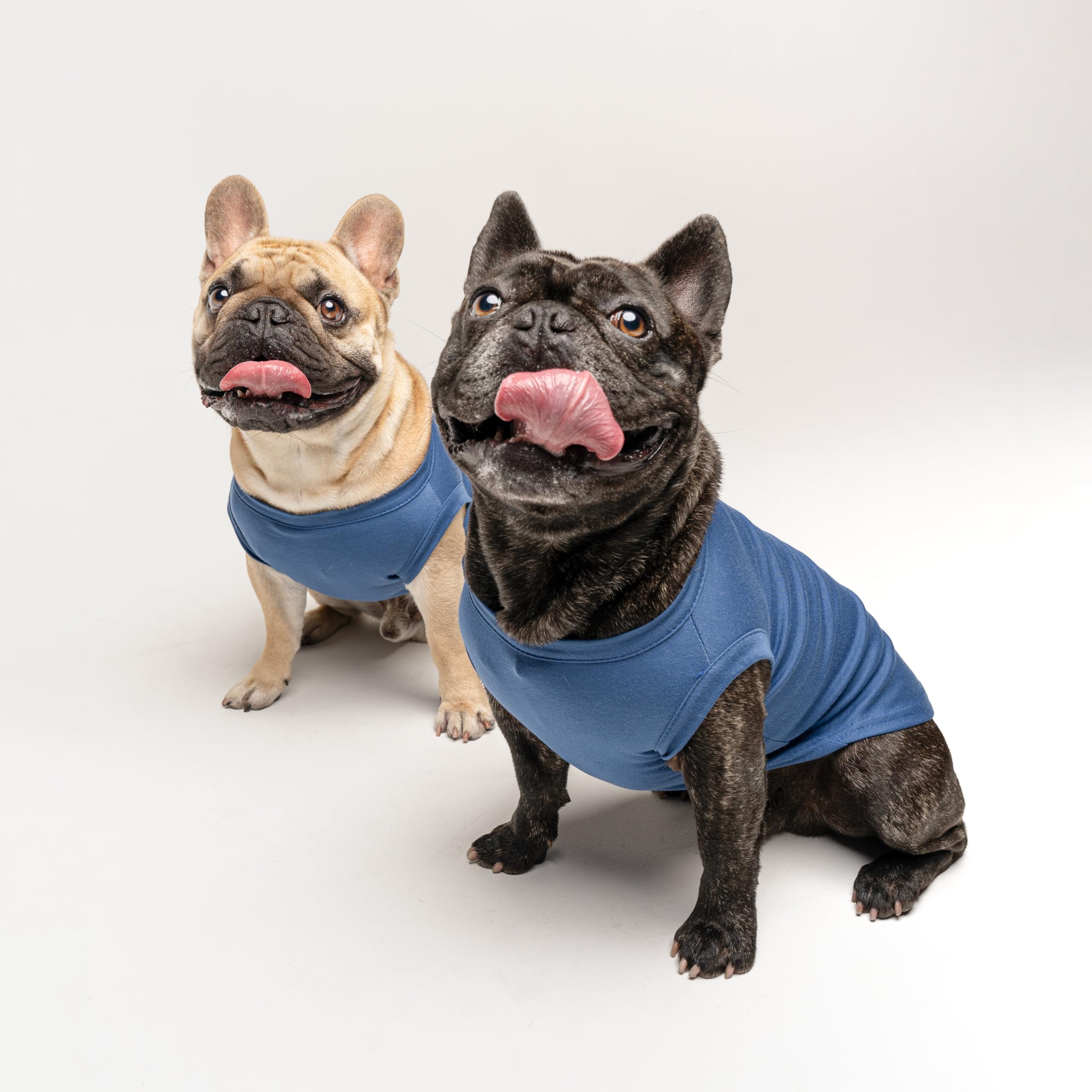 Happy Birthday Mommy Dog Tee Shirt | Sleeveless | Pawty | Party Theme | Celebration Supplies | Photoshoot (Royal Blue, Large 169)