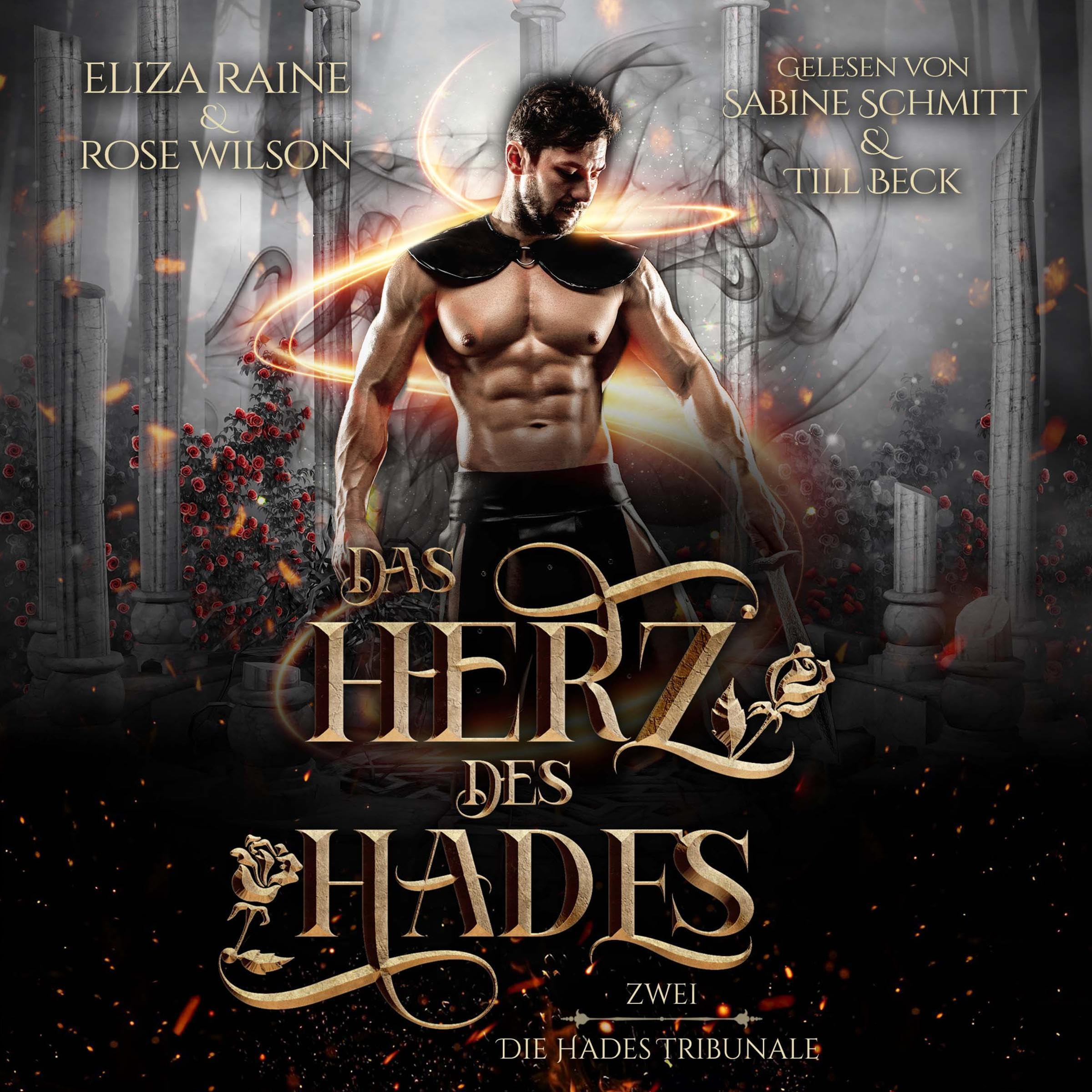 Cover art for Das Herz des Hades