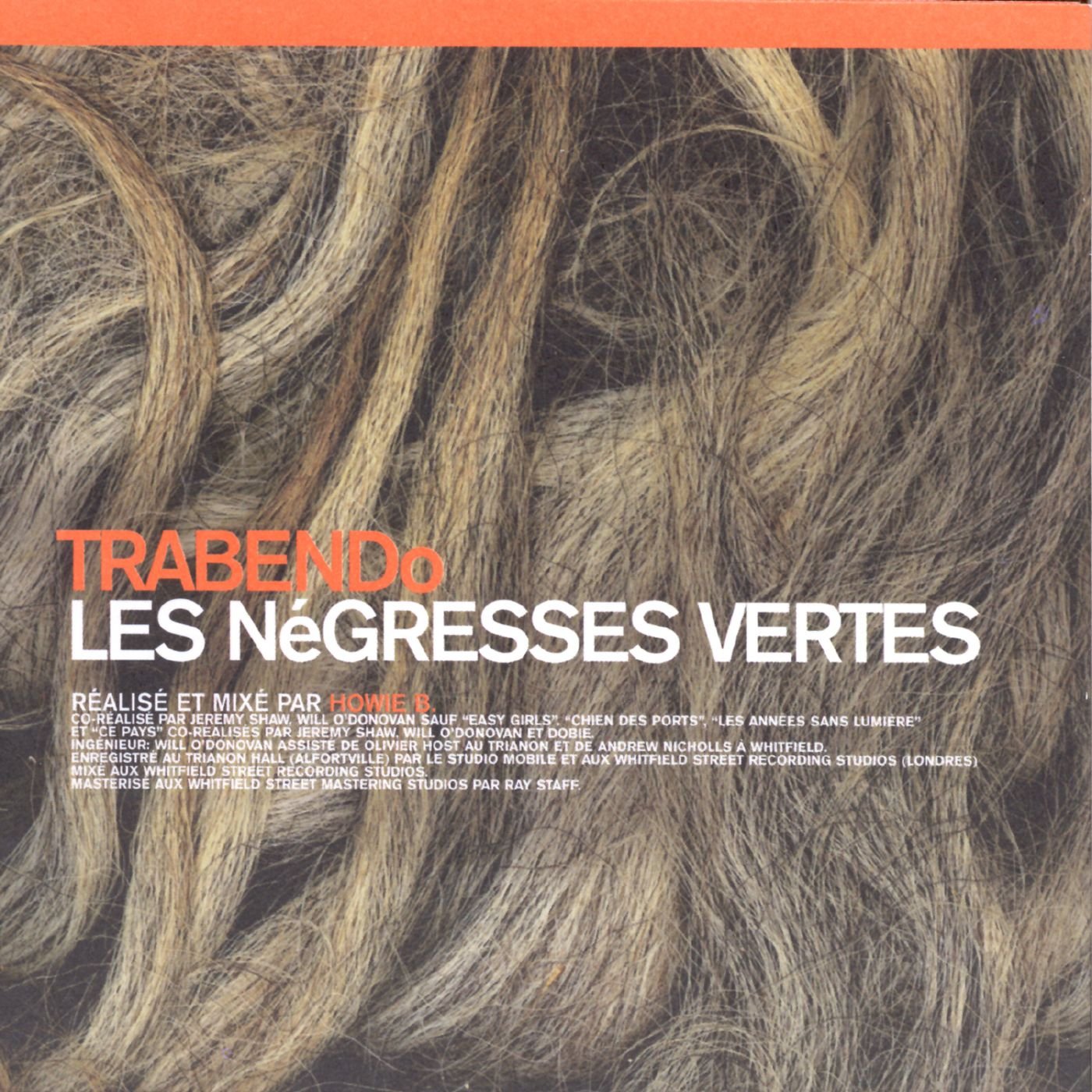 Les Négresses Vertes - Trabendo (2007)