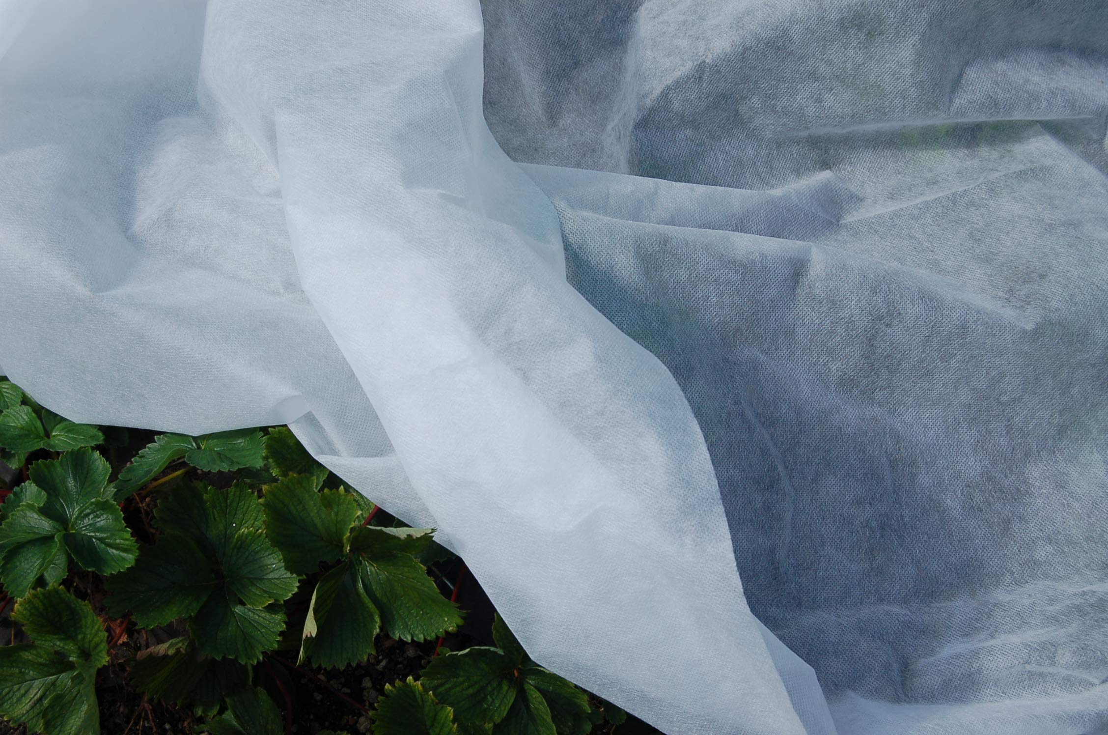 Agralan Heavy Duty 30g Garden Plant Envirofleece Winter Weight Fleece Frost Protection Allotment - Protects down to -6 - Many (2.4m x 100m) — image 1