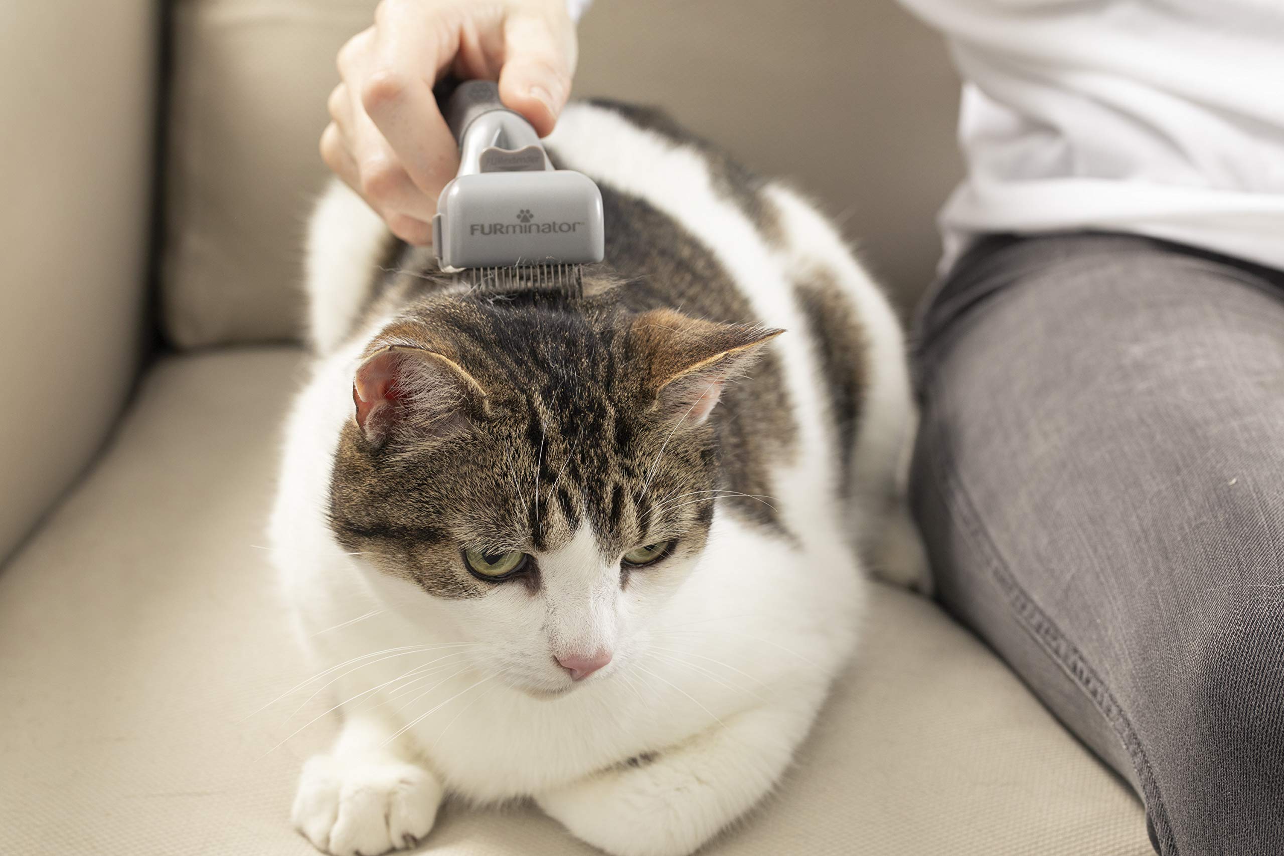 Furminator Verstellbarer Entfilzer für Hunde und Katzen & Harkenkamm für langhaarige Hunde und Katzen - Bürste zur Vorbeugung von Knoten und verfilzten Haaren