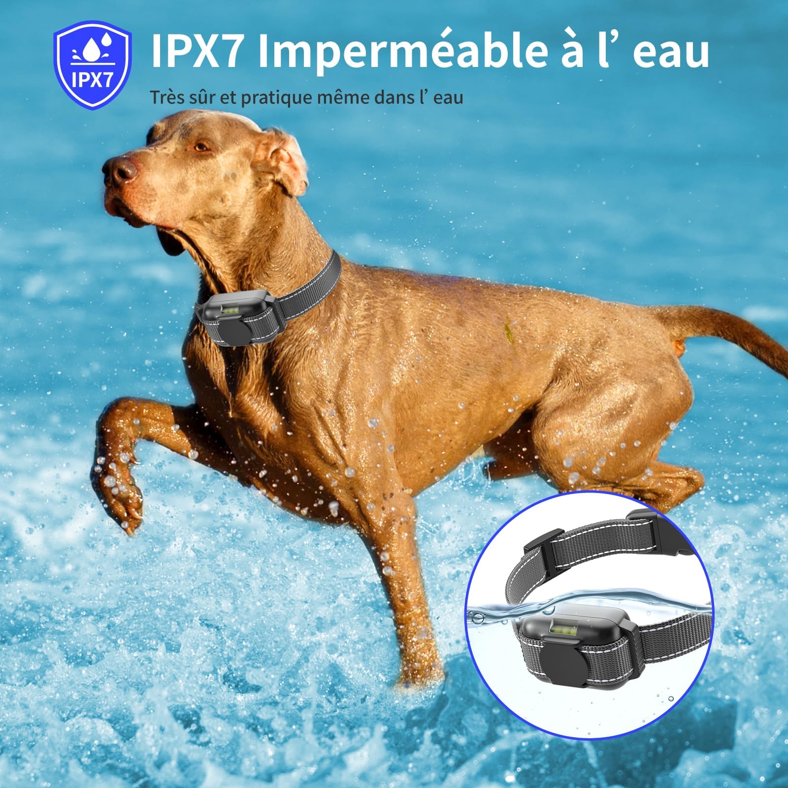 Collier Dressage Chien avec Télécommande-Le Plus Petit et Le Plus Léger Collier de Dressage Chien，Conçu pour Les Chiots，3 Modes : Voix, Vibration, Stimulation，Étanche IPX7，Rechargeable，Blanche