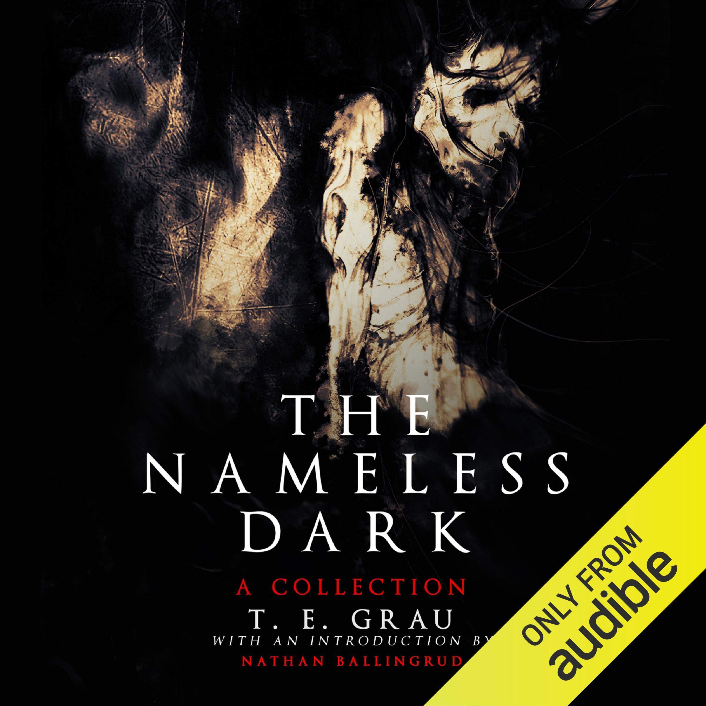 Cover art for The Nameless Dark