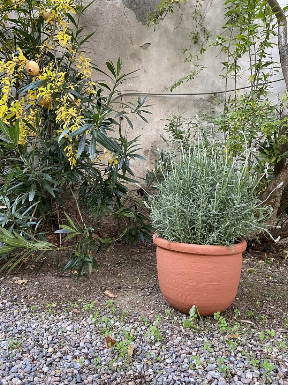 Garden Italia Vasi Vaso tondo per piante Conca liscia ICOL Diam.45 cm alt.34 in resina colore terracotta - Per interni ed esterni - Resistente al gelo - antiurto - Leggero