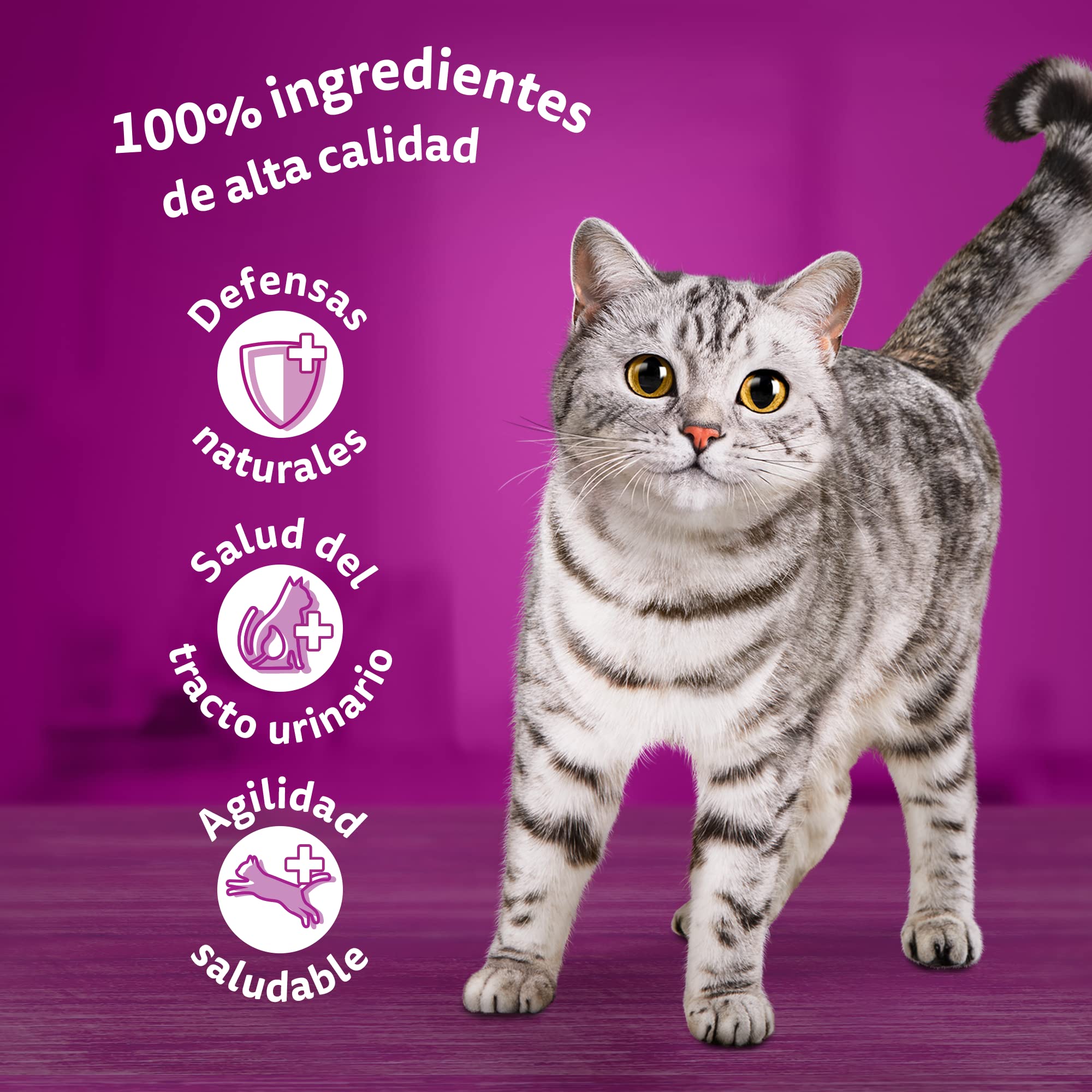 Whiskas Comida Húmeda en Gelatina para Gatos Selección Aves 13 x 4 bolsitas x 85g (Paquete de 2)