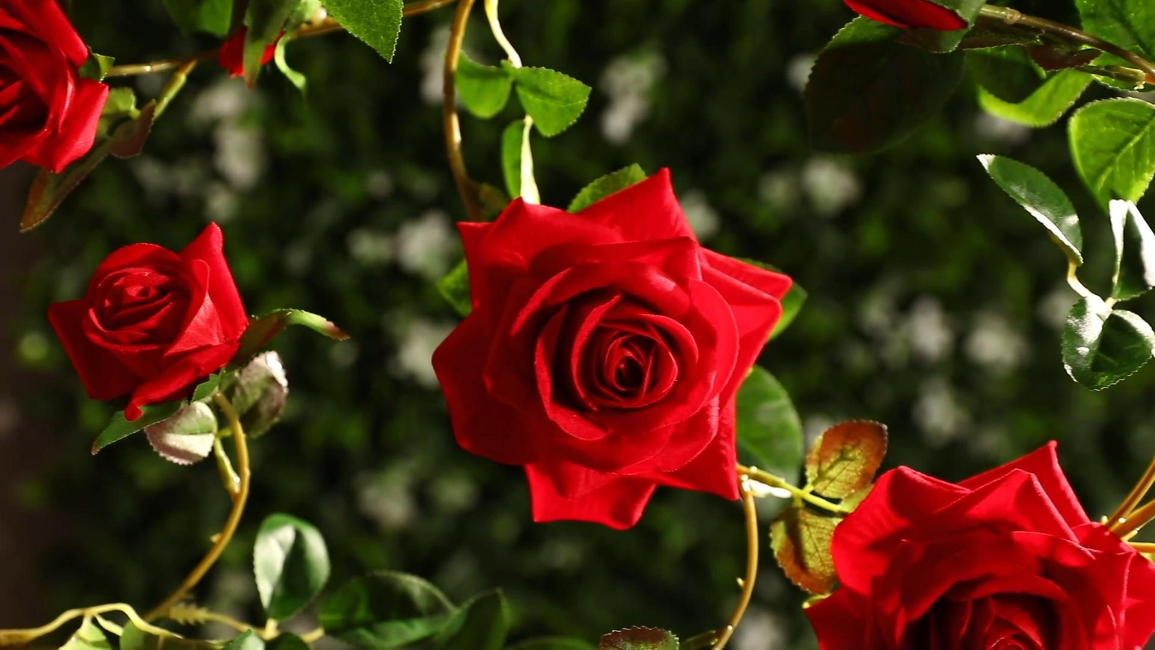 Amazon.com: Rose Vine Artificial Flower Garland Fake Hanging Rose