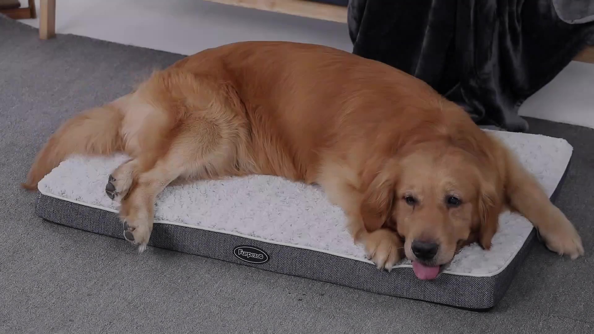 Furpezoo Orthopedic Dog Bed for Medium Dog,(35"x22"x2.8") Dog Crate Mattress with Memory Foam, Washable Dog Bed of Comfortable Rose Plush Beds with Removable Cover, White,L - Image 7