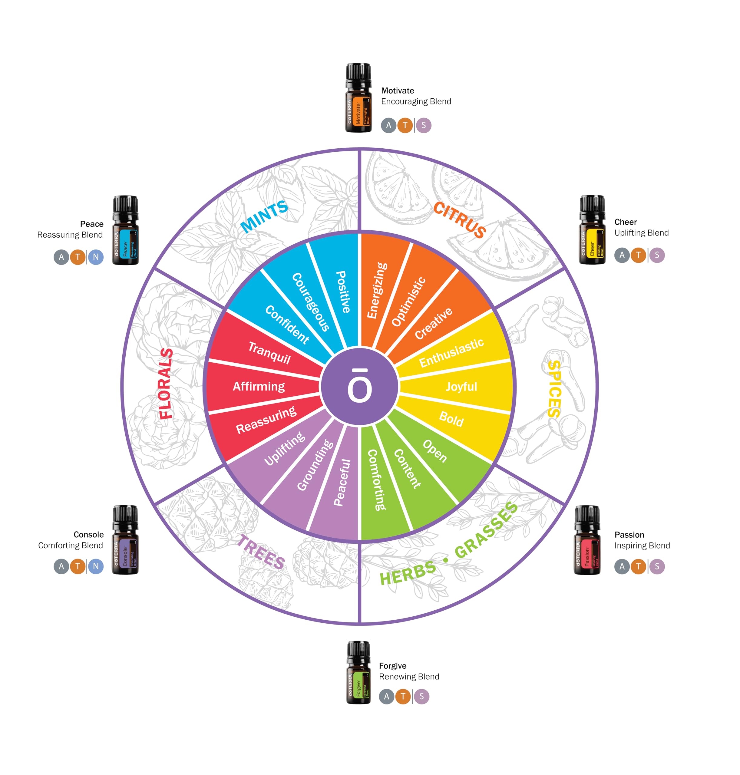 dōTERRA Emotional Aromatherapy 6本セット dōTERRA Emotional Aromatherapy 6本セット 41-32BOhJiL
