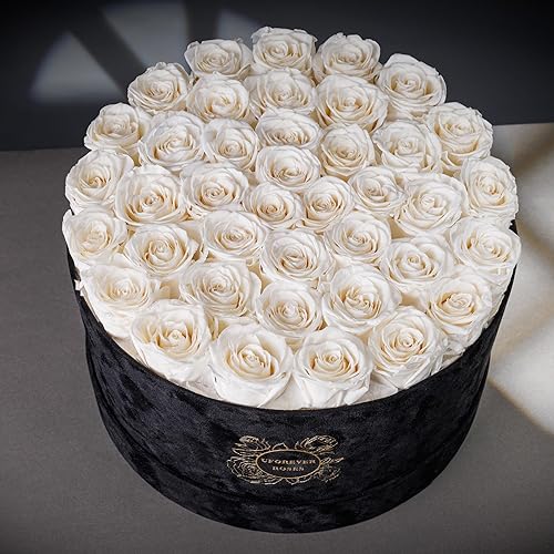 Miniatura 2 de UFOREVER ROSES Rosas preservadas de lujo en caja de gamuza, regalos de rosas florales para mujeres, flores para el día de San Valentín, rosas para
