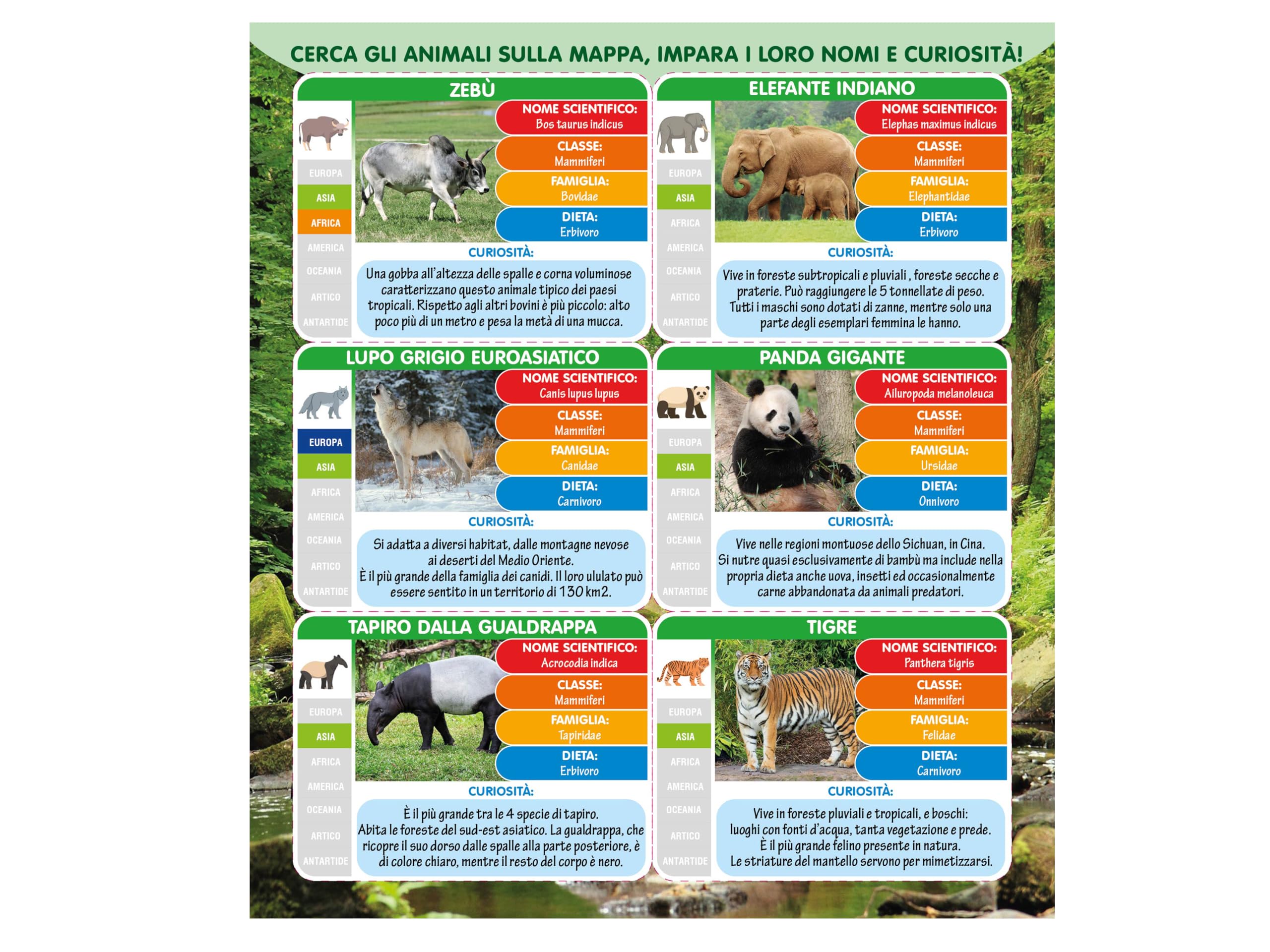 Teorema Sobre De Animales De Asia – 6 Figuras Surtidas Con Mapa Ilustrado Y Curiosidades – Juguete Educativo Coleccionable Para +3 Años