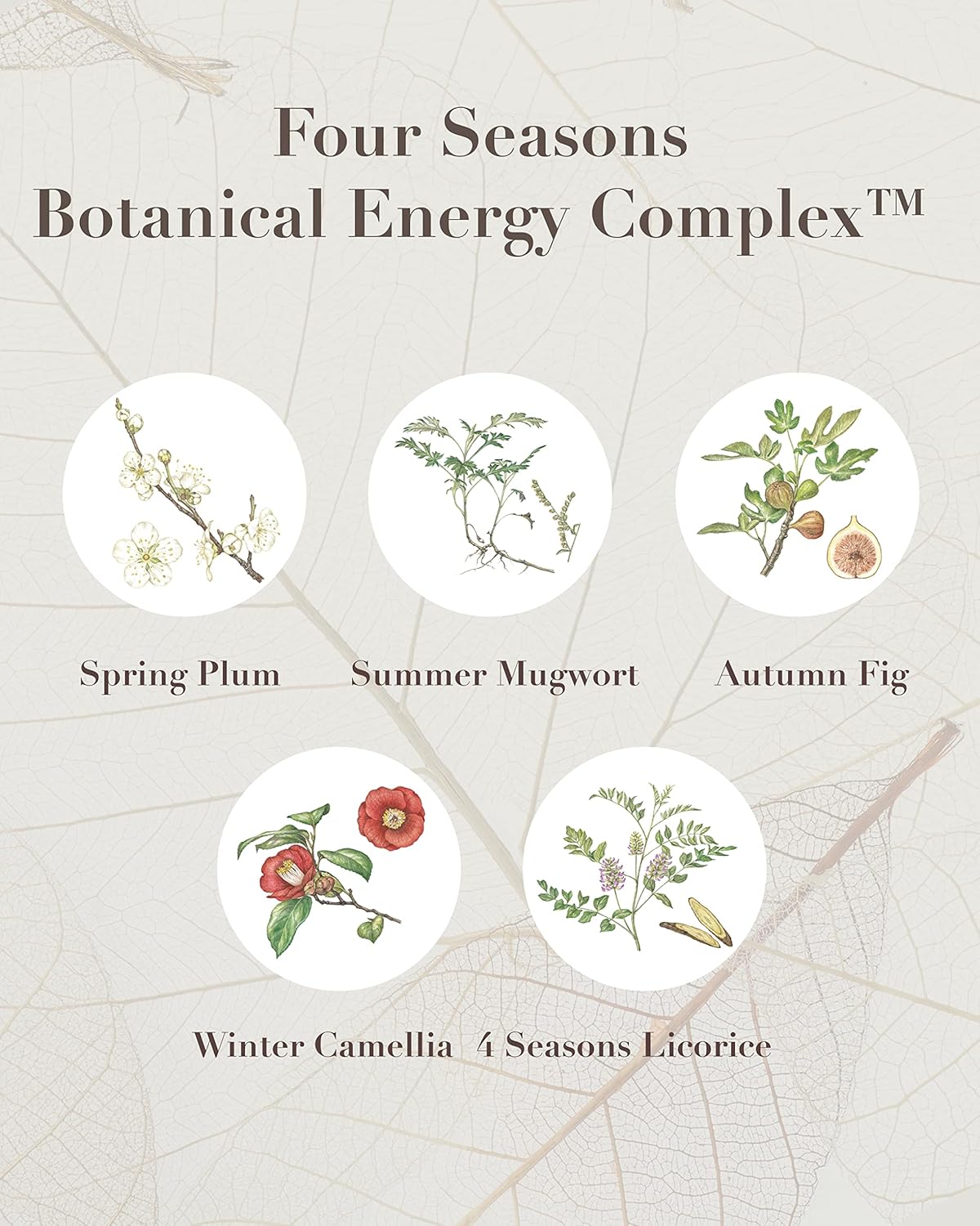 Sooryehan THE SAGA OF SOO Botanical Energy Multi Stick (10 g / 0.35 Fl Oz) - Skin Care Balm by LG BEAUTY. Sensitive Skin. - Image 3