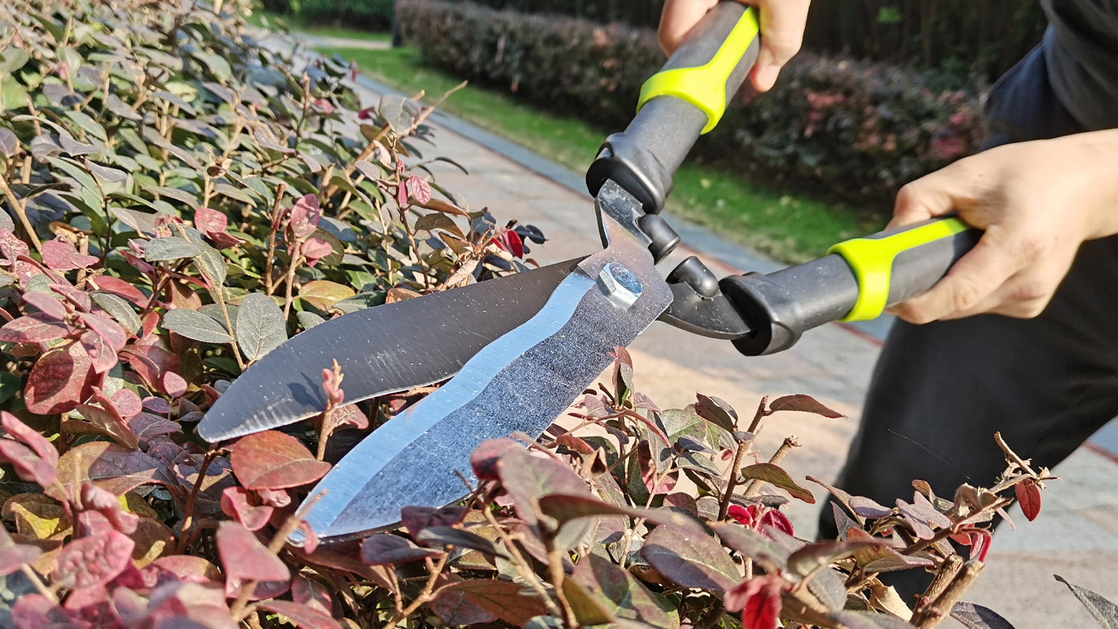 Amazon.com : YRTSH Hedge Clippers Shears Hedge Shears for Trimming