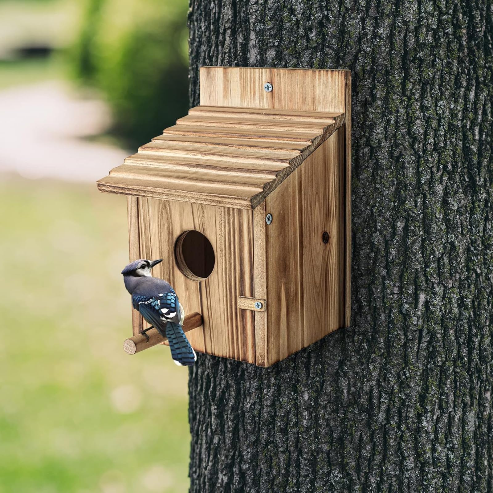 Casa Pajaros Exterior de Madera, Pajareras Exterior En Jardin, Caja de Madera para Colgar en el hogar, Resistente a la Intemperie, Nido CríA para Aves AmbientacióN con Orificio De Entrada