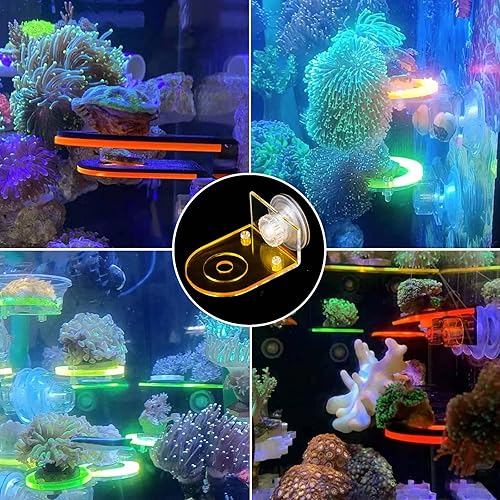 Miniatura 7 de 4 piezas de acrílico Coral Frag Rack, estante fragmento de coral fluorescente con potente ventosa soporte para fragmentos de coral, accesorios de