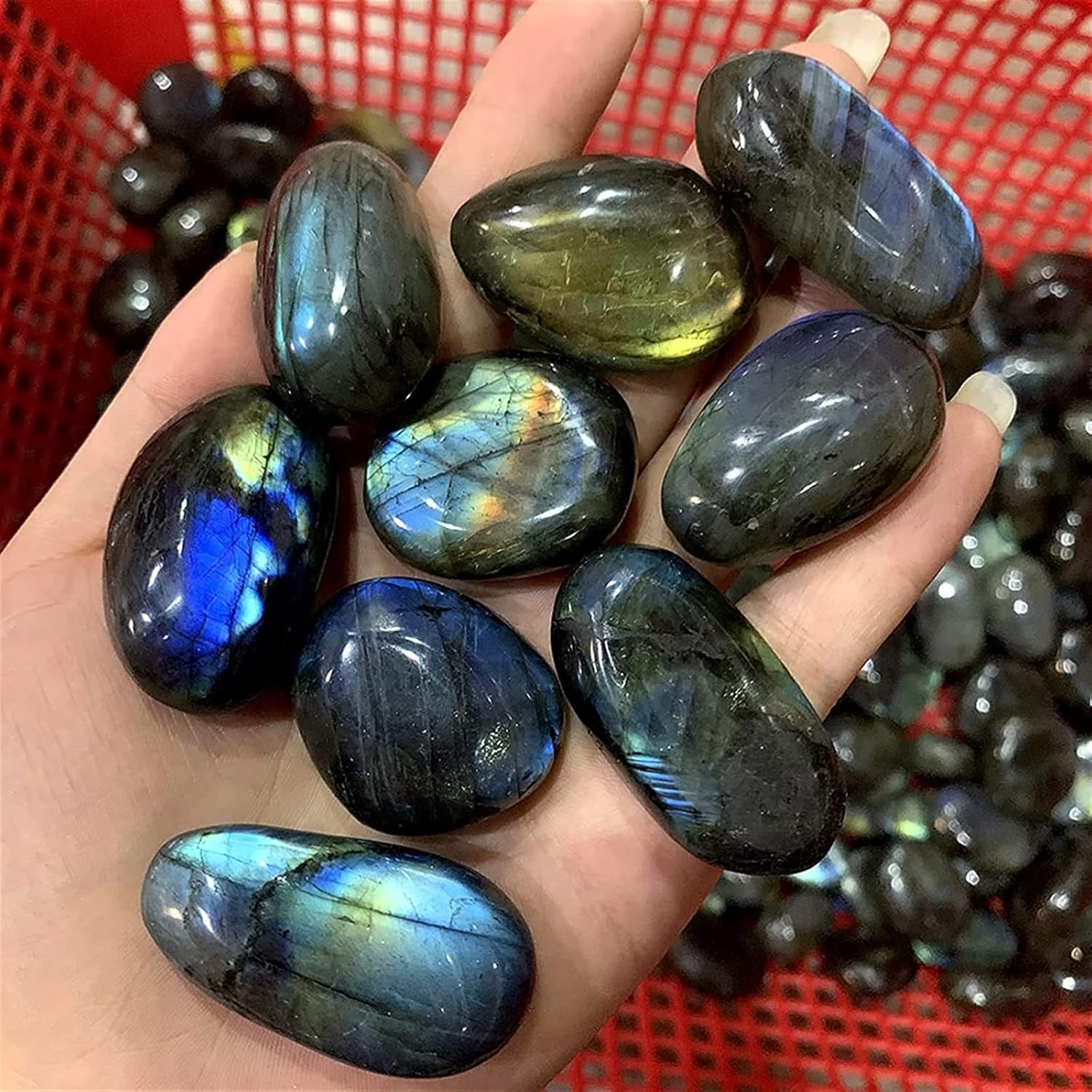 Lowya パソコンデスク ガラス天板 収納ラック一体型 [幅120.5]