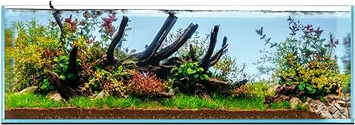 Miniatura 43 de Ultum Nature Systems - Acuario sin marcos ultratransparente, cristal con poco hierro, bordes con corte a inglete a 45º, grosor de 13/64 a 15/32