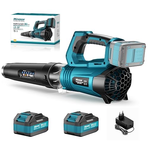 Souffleur Batterie, Moteur Brushless, 2 Batteries 18V/5200mAh et Chargeur