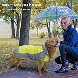 Ver la foto 6
