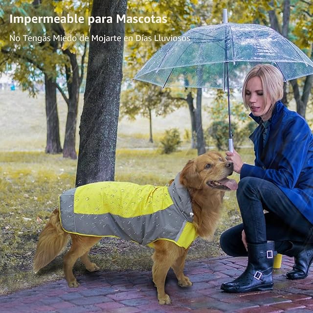 Foto 6 de 6 de PETCUTE Impermeable Con Capucha y Collar Agujero Para Perros