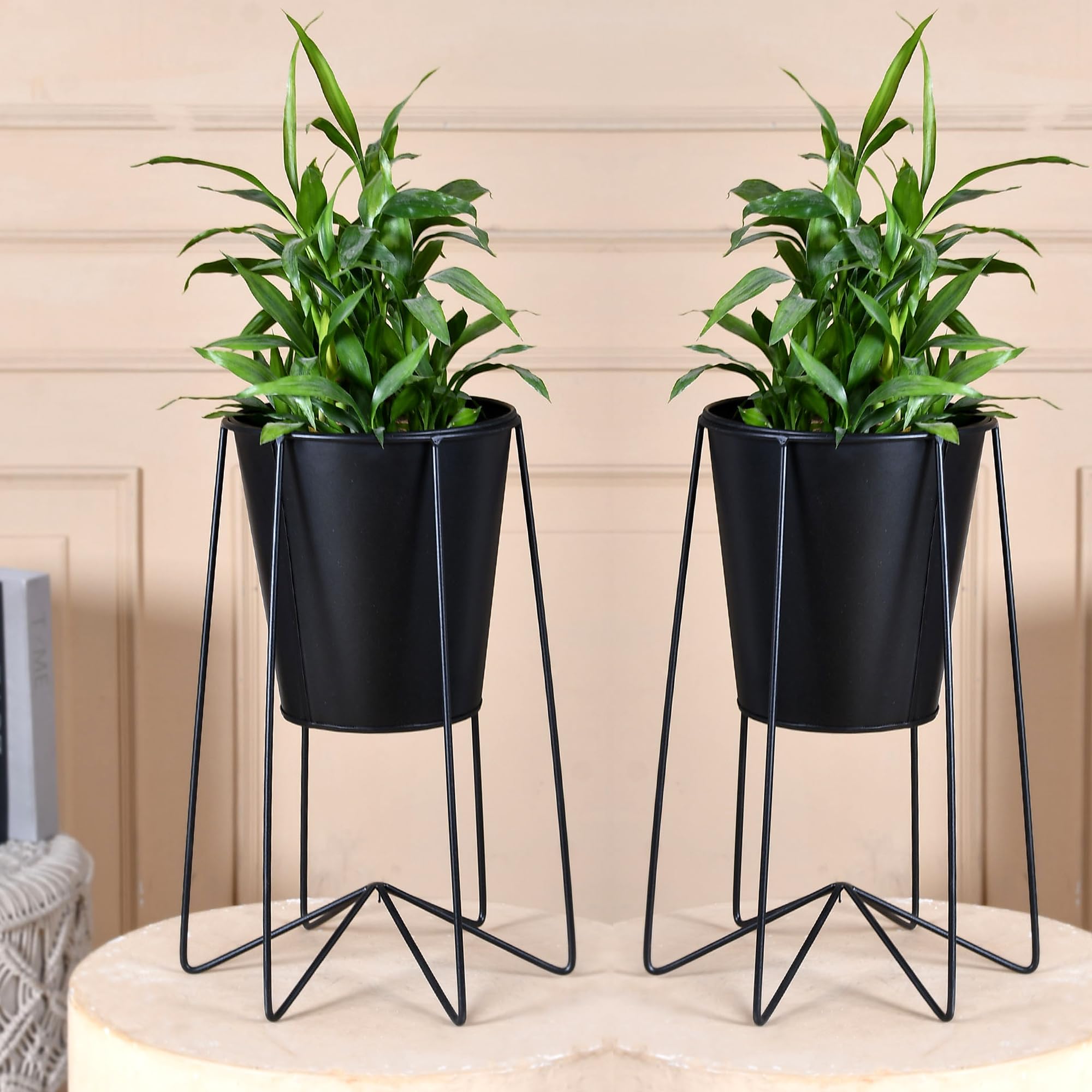 See full amazon price history chart for Kuber Industries Planter | Gamla Stand for Home | Plant Stand for Living Room | Planter Pot Stand for Outdoor | Plant Stand for Home | Metal Pot Stand with Bucket Planter | Set of 2 | Black Kuber Industries Planter | Gamla Stand for Home | Plant Stand for Living Room | Planter Pot Stand for Outdoor | Plant Stand for Home | Metal Pot Stand with Bucket Planter | Set of 2 | Black (B0CTZNBWKG) Amazon Price History, Amazon Price Tracker