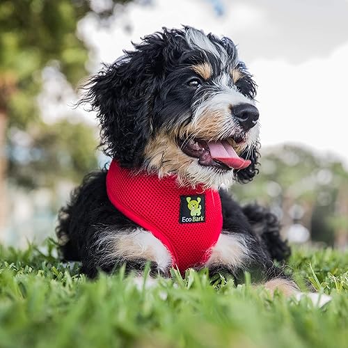 Miniatura 4 de EcoBark Arnés para perro de máxima comodidad diseño sin tirones y que evita estrangulamiento, lujoso chaleco acolchado, respetuoso con el medio
