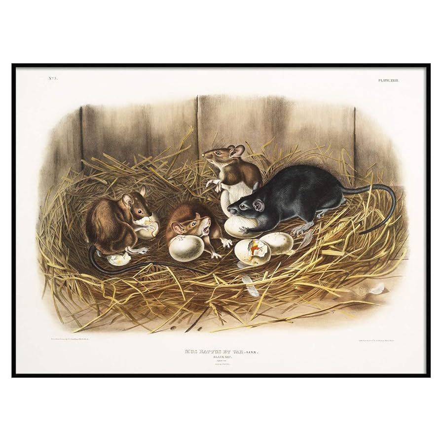 リトグラフ　絵画　アンティーク　ヴィンテージ リトグラフ 絵画 アンティーク ヴィンテージ