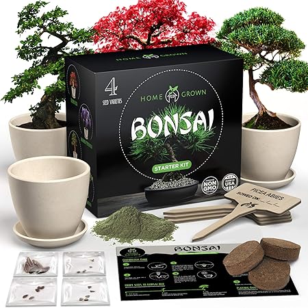Amazon.com : Bonsai Tree Growing Kit - Grow 4 Indoor Bonsai Trees - Plant a Garden from Seeds - Unique Gardening Gifts for Women & Men Gardeners : Unusual Gift Ideas - Amazon.com : Bonsai Tree Growing Kit - Grow 4 Indoor Bonsai Trees - Plant a Garden from Seeds - Unique Gardening Gifts for Women & Men Gardeners : Unusual Gift Ideas -