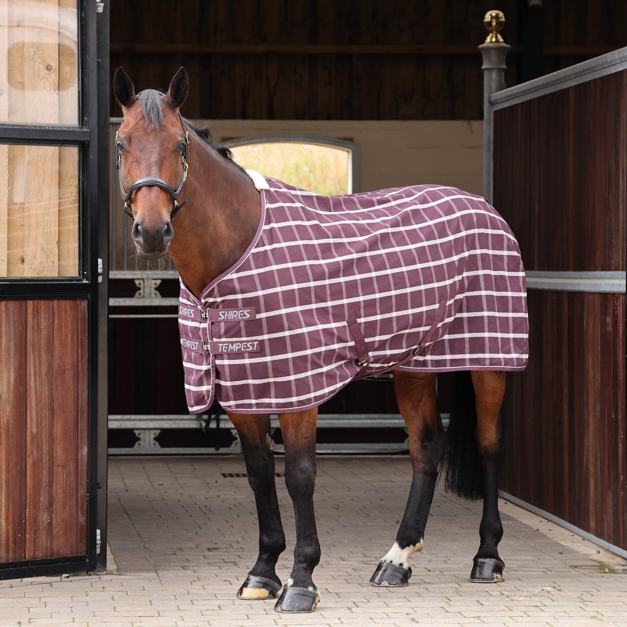 Shires Tempest Original Stable Sheet - Maroon Check 4ft9