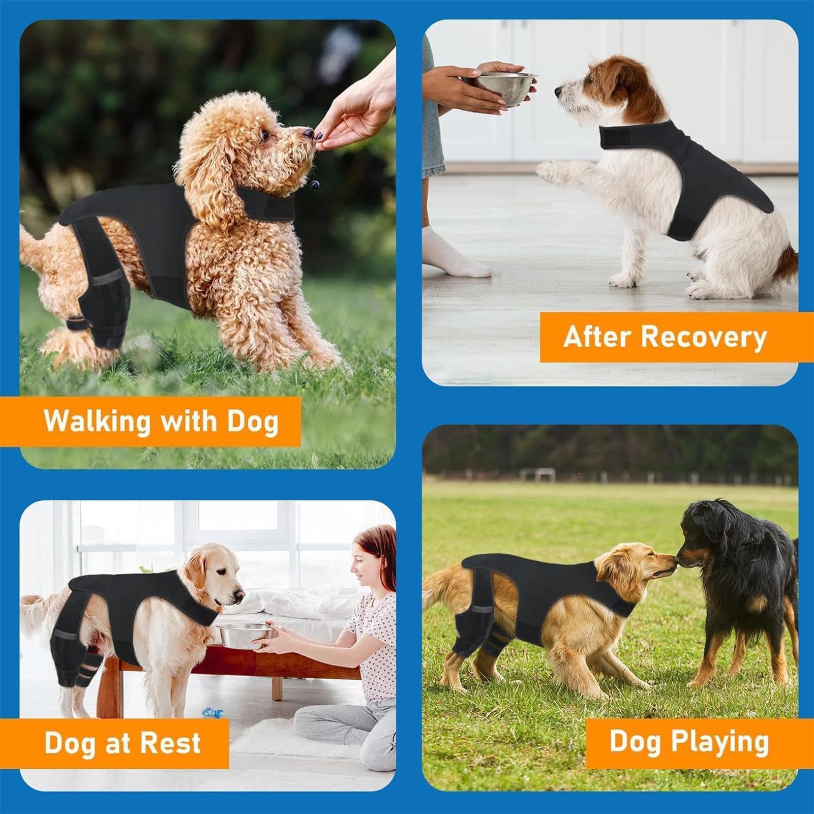 Genouillère Pour Chien Bandage Articulaire Réglable | Avec 4 Stabilisateurs Métalliques Support Pour Patte Arrière Pour Randonnée Exercice Activités Extérieures Parc Plage