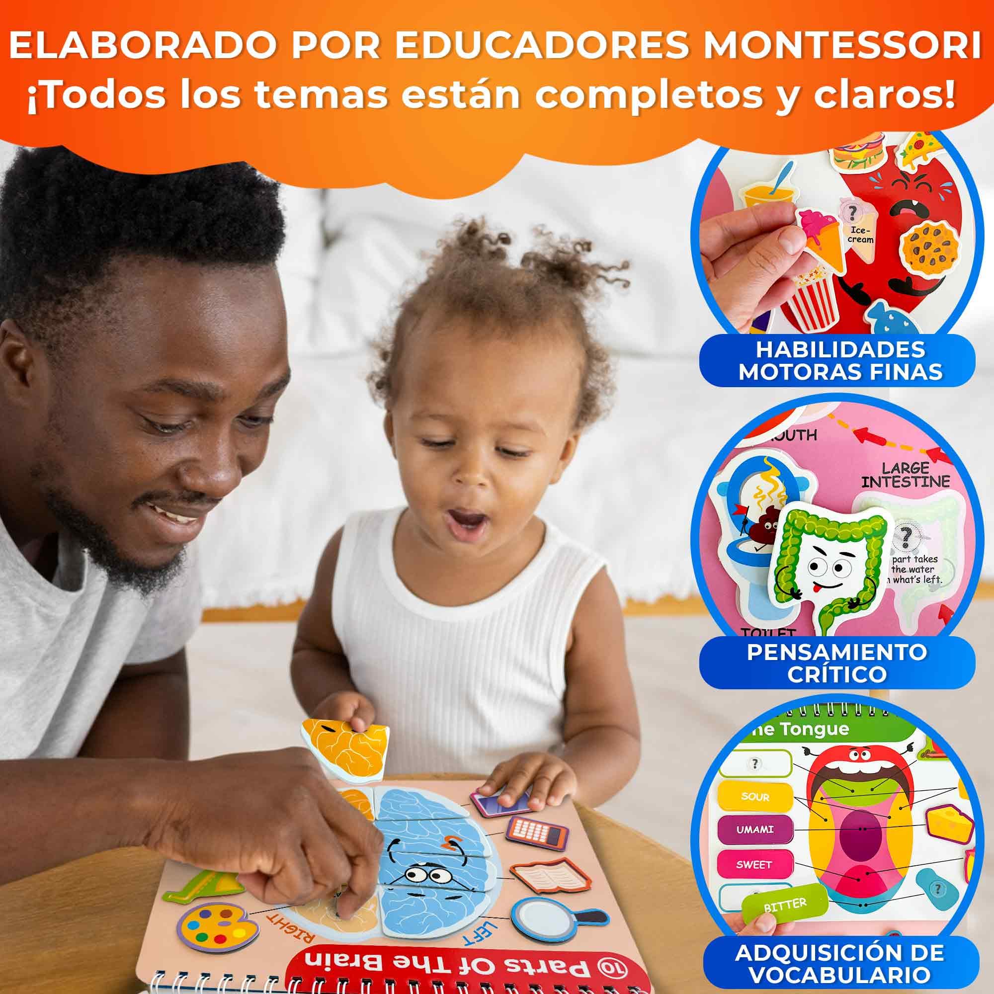 QUOKKA Busy Board Montessori 1 2 Año - Versión Inglés - Libro Sensorial Bebe con 15 Temas sobre el Cuerpo Humano - Busy Book Juegos Montessori 3 4 Años - Regalo Educativo para Niños y Niñas