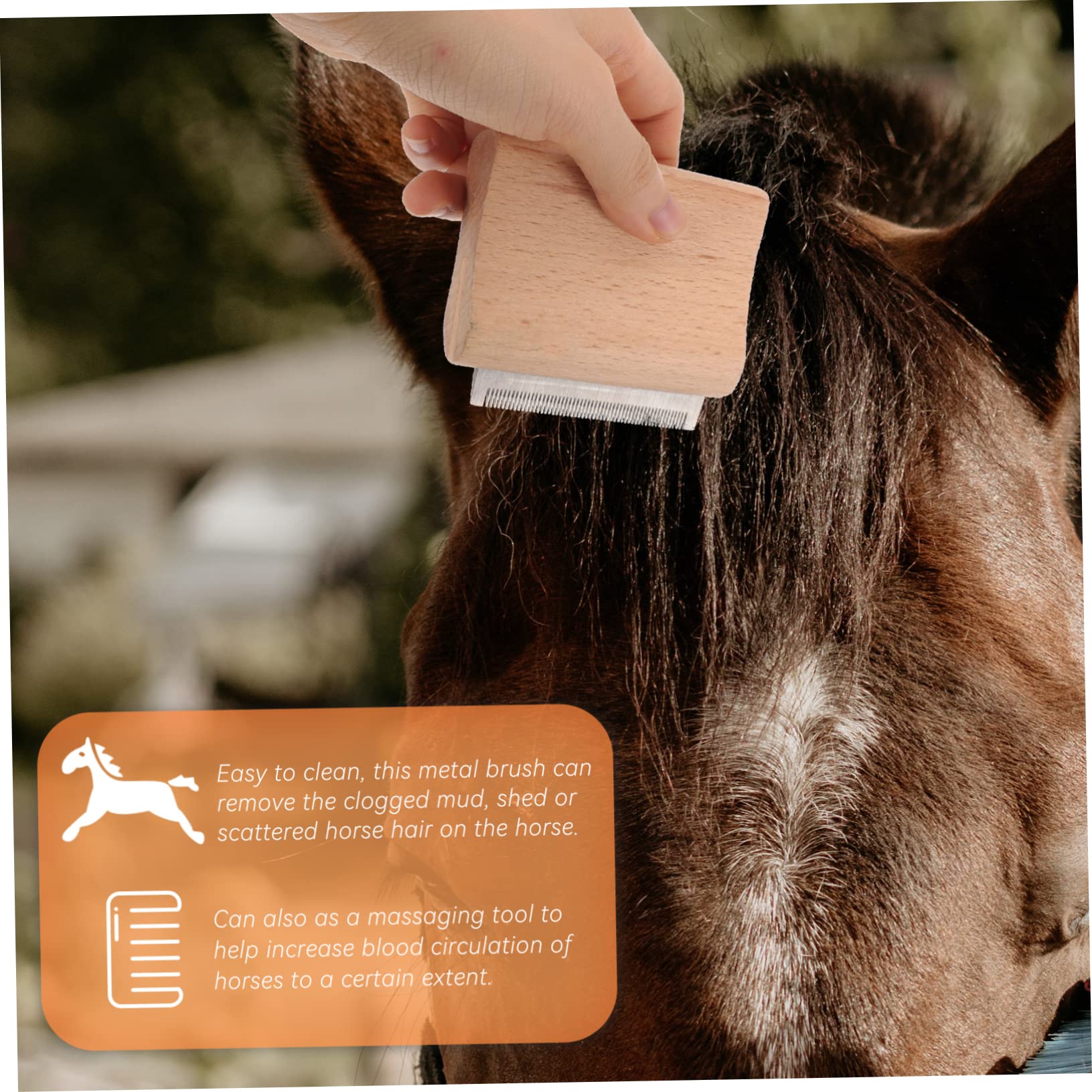 minkissy Cepillo de madera para caballos de 4 piezas, suministros agrícolas, cepillo removedor de pelo, cepillo de metal para caballo, herramienta de aseo para caballos, herramienta de eliminación de