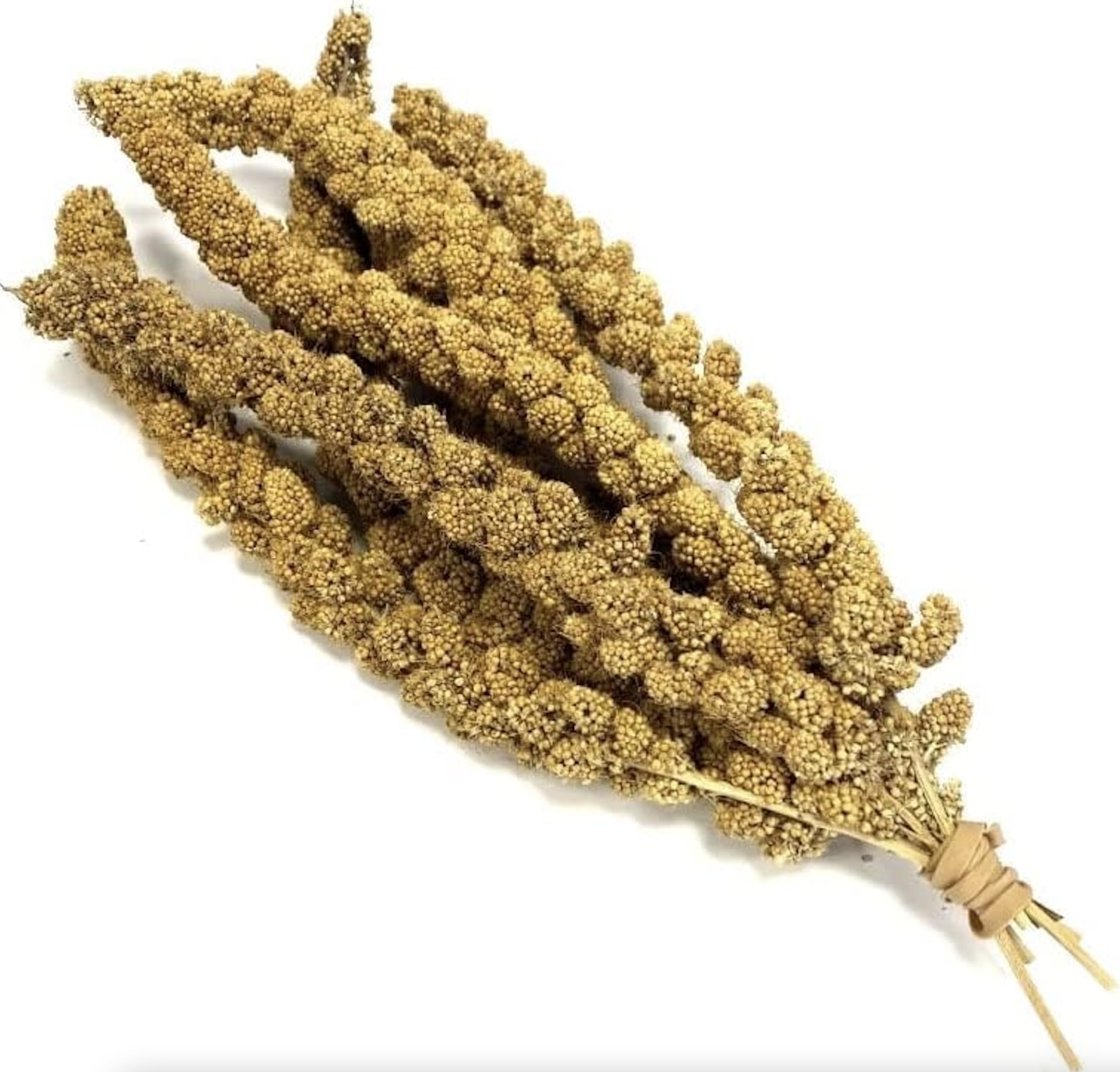 Millet Sprays 1kg Premium Cage Bird Food Seed