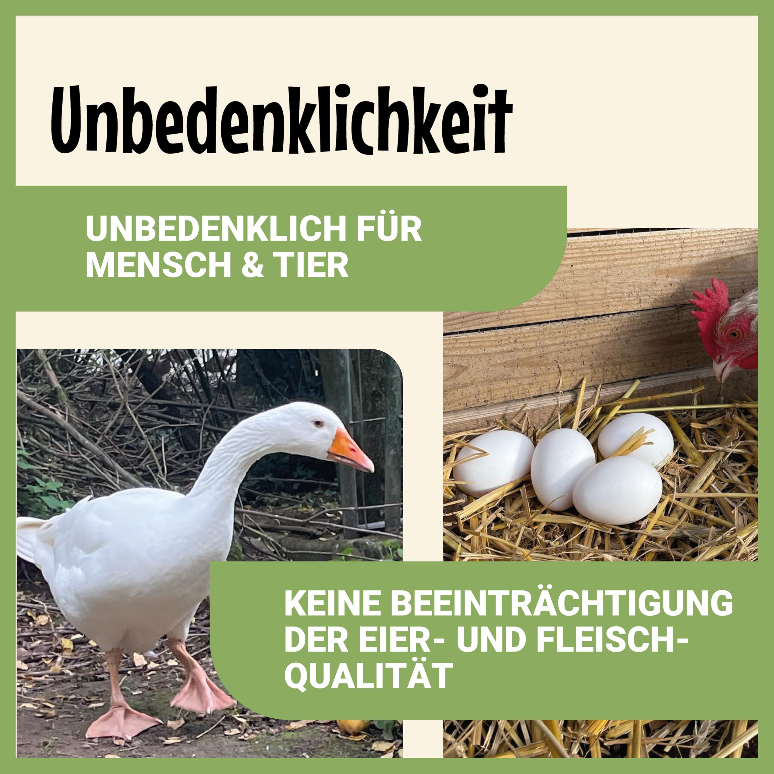 Poudre de terre de diatomée 2,2 kg, produit naturel pour l’entretien des animaux de ferme et d’élevage – particulièrement adaptée aux poules et aux volailles